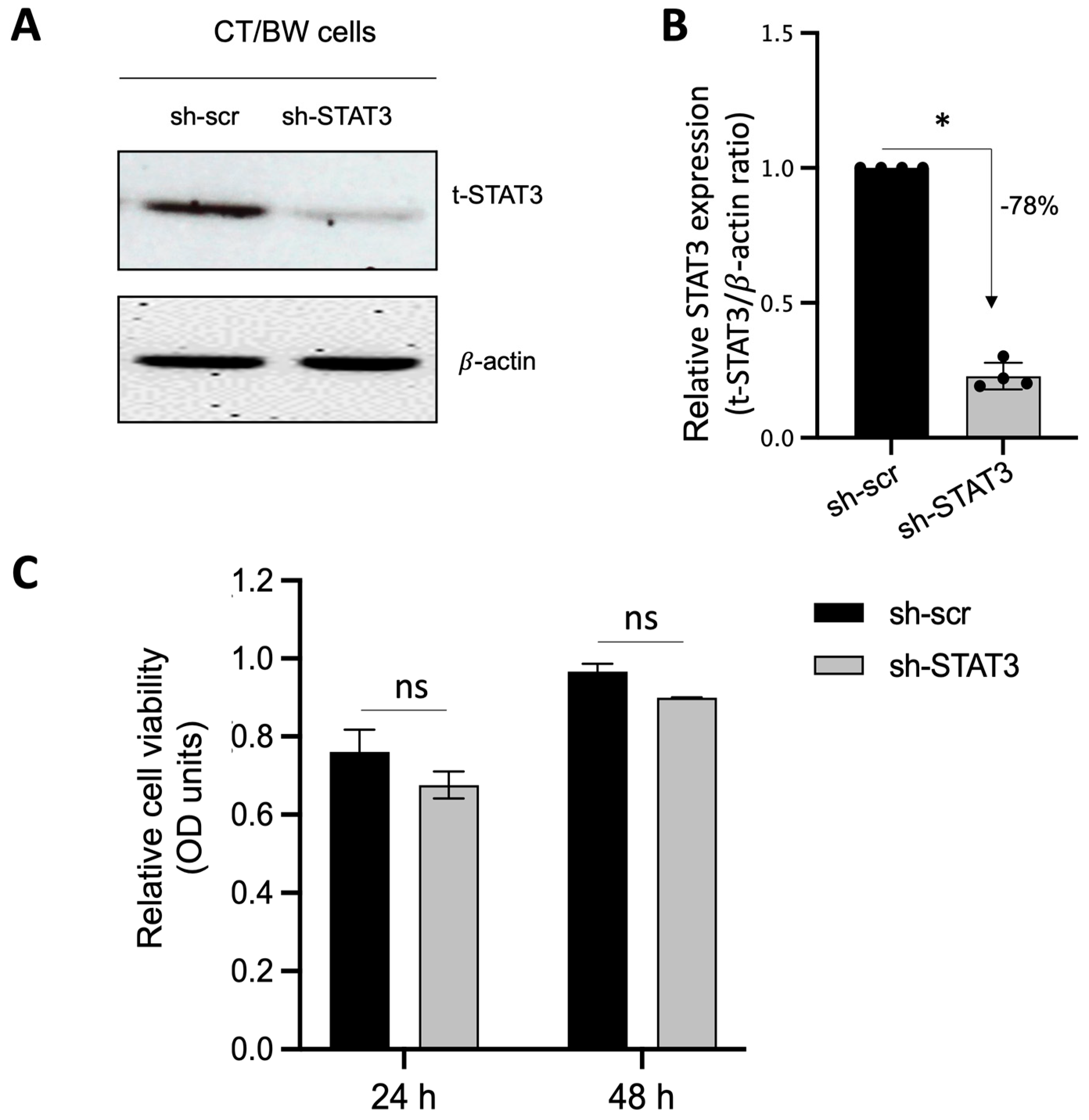 Cells 13 00229 g004 Cells 13 00229 g004