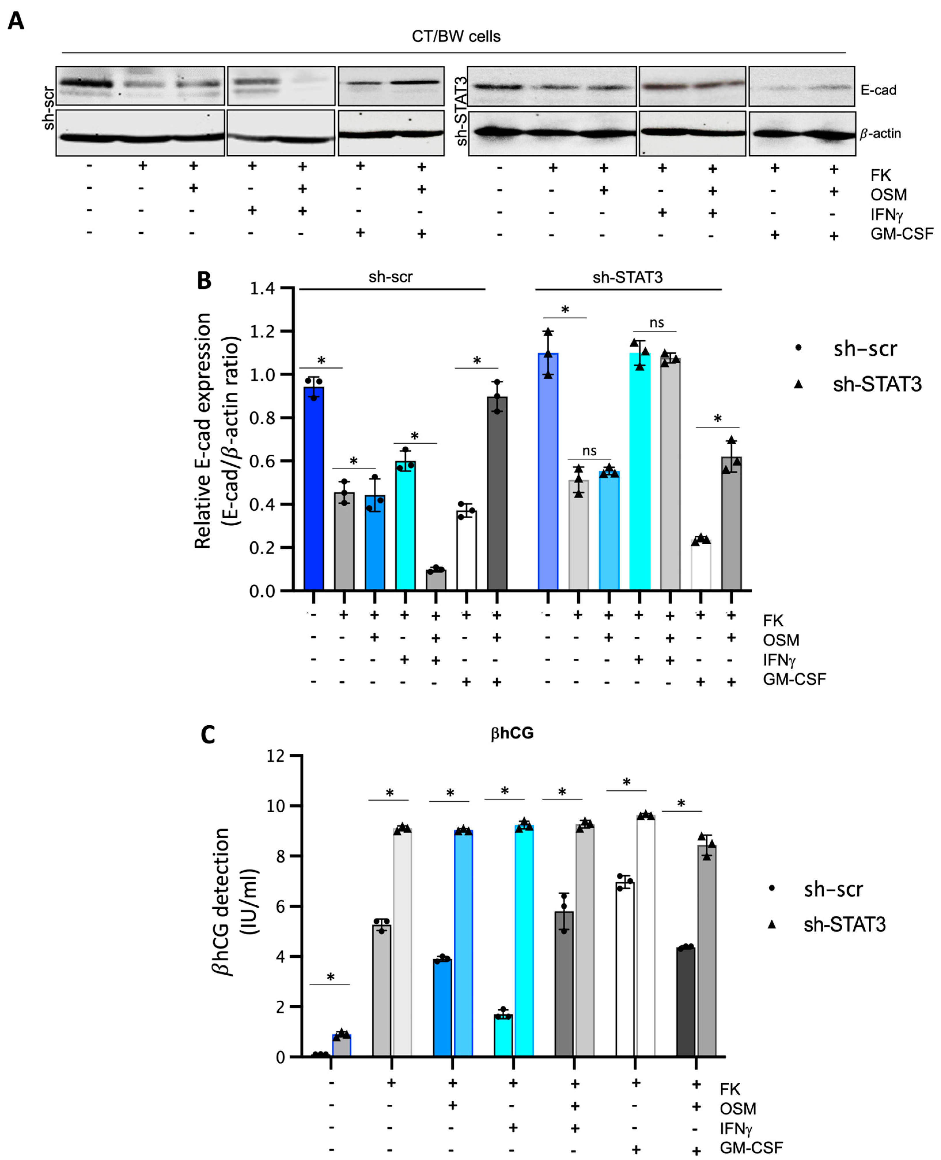 Cells 13 00229 g005 Cells 13 00229 g005