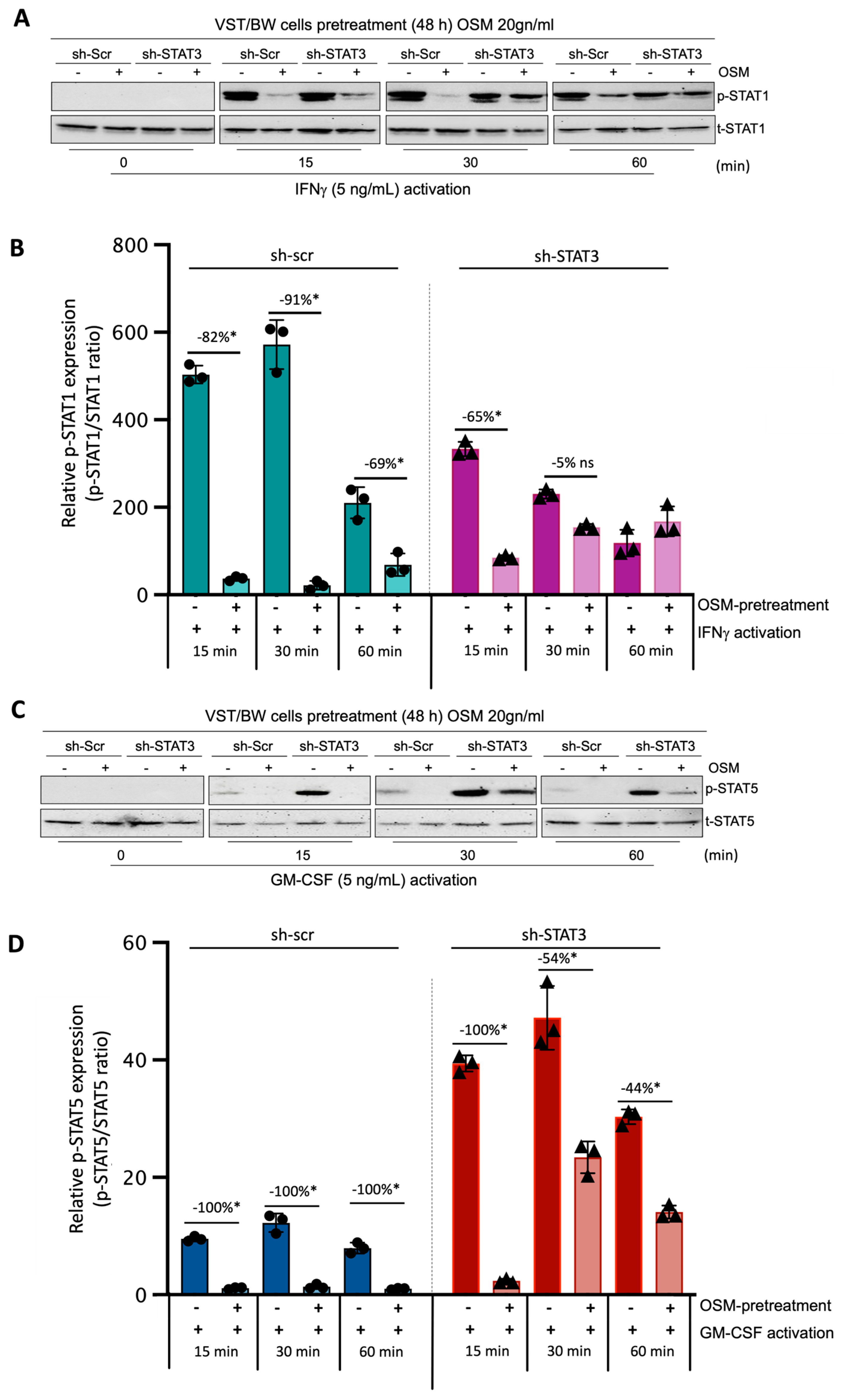 Cells 13 00229 g006 Cells 13 00229 g006