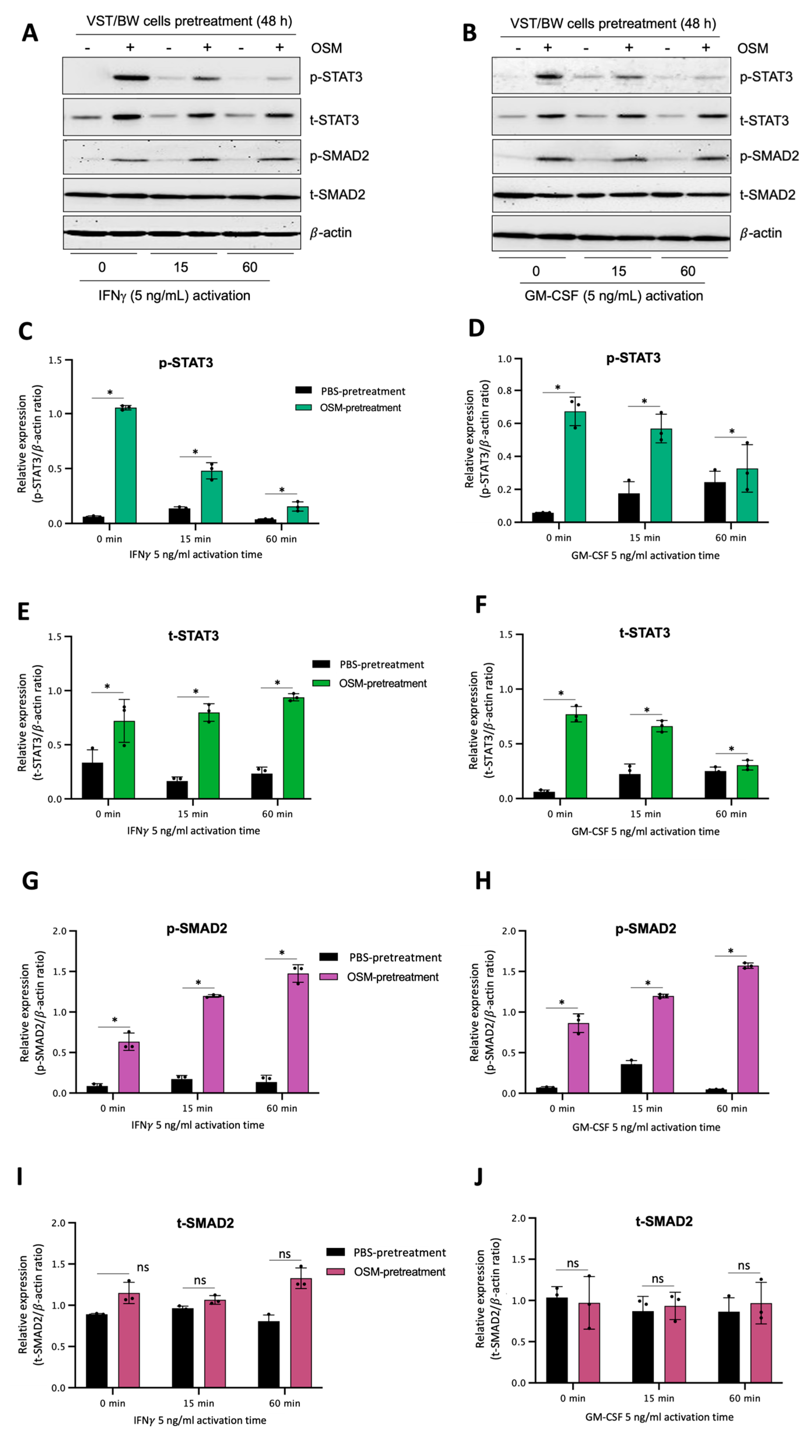 Cells 13 00229 g007 Cells 13 00229 g007