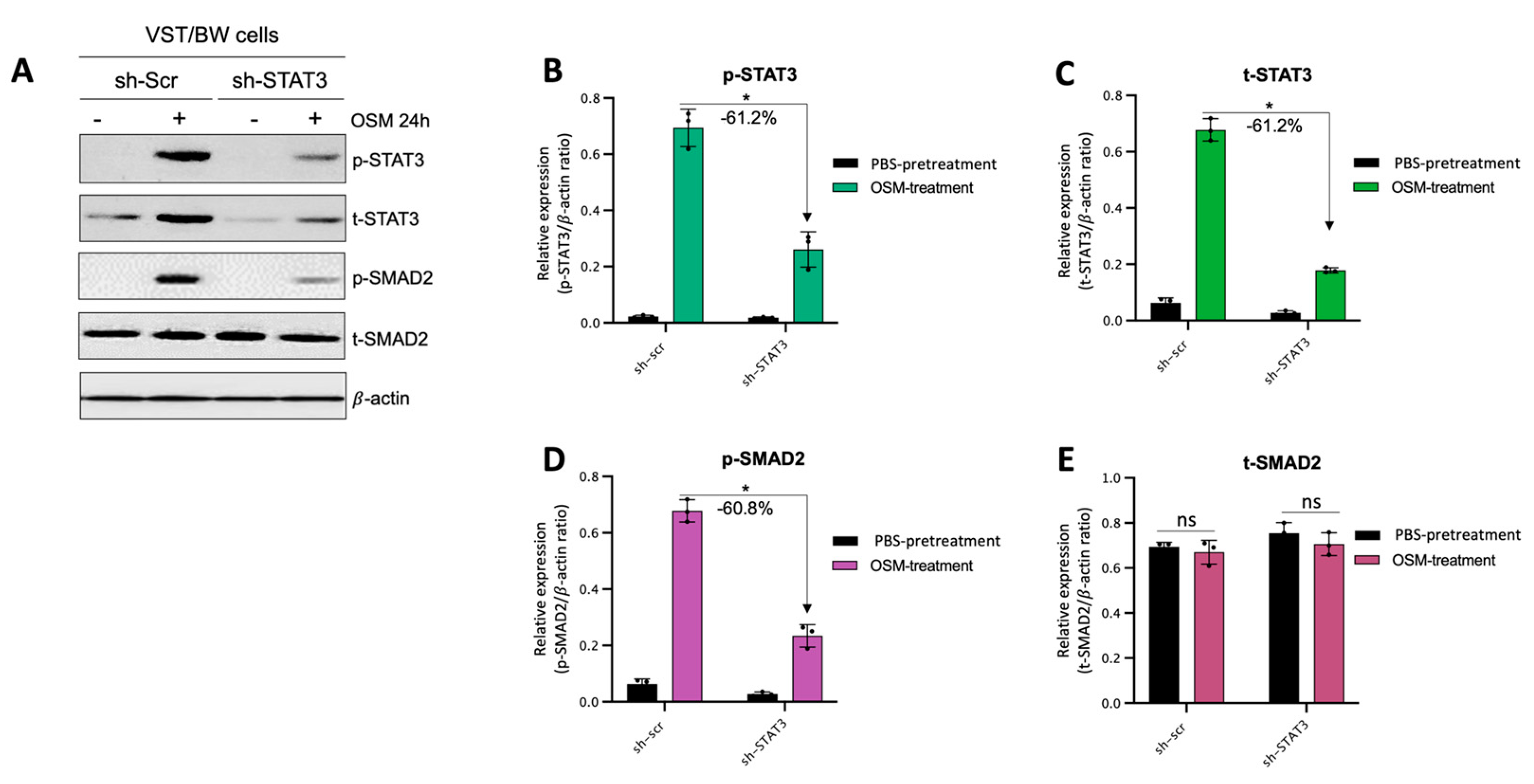 Cells 13 00229 g009 Cells 13 00229 g009