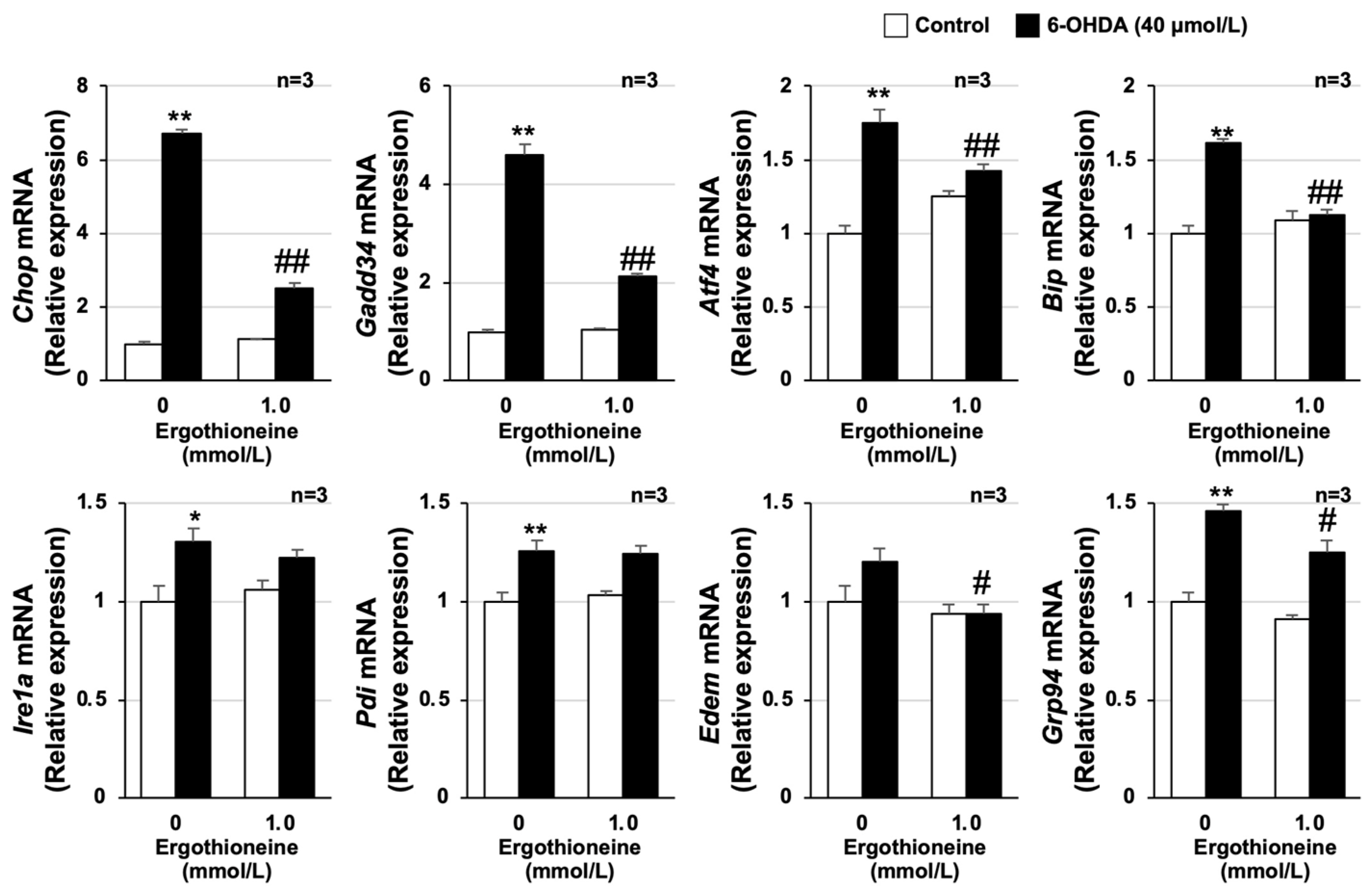 Cells 13 00230 g002 Cells 13 00230 g002