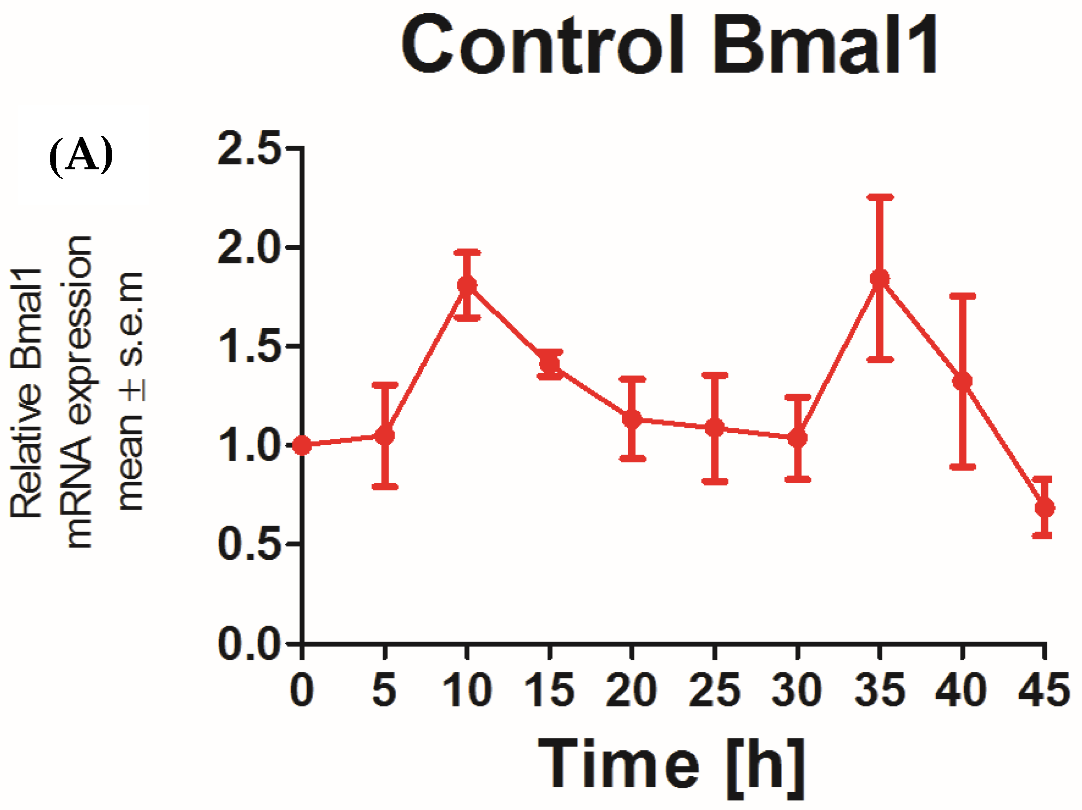 Cells 13 00232 g001a