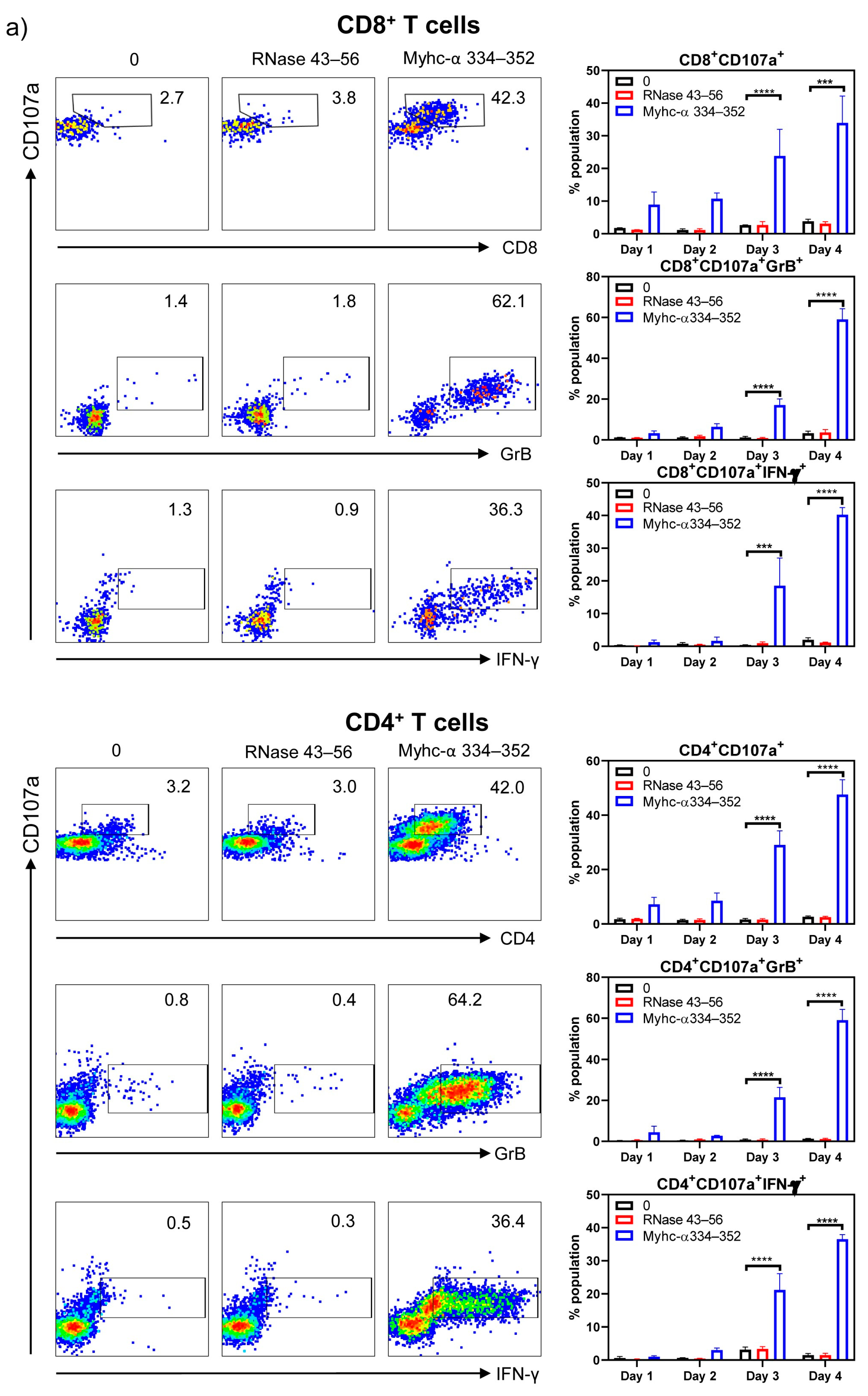 Cells 13 00234 g004a