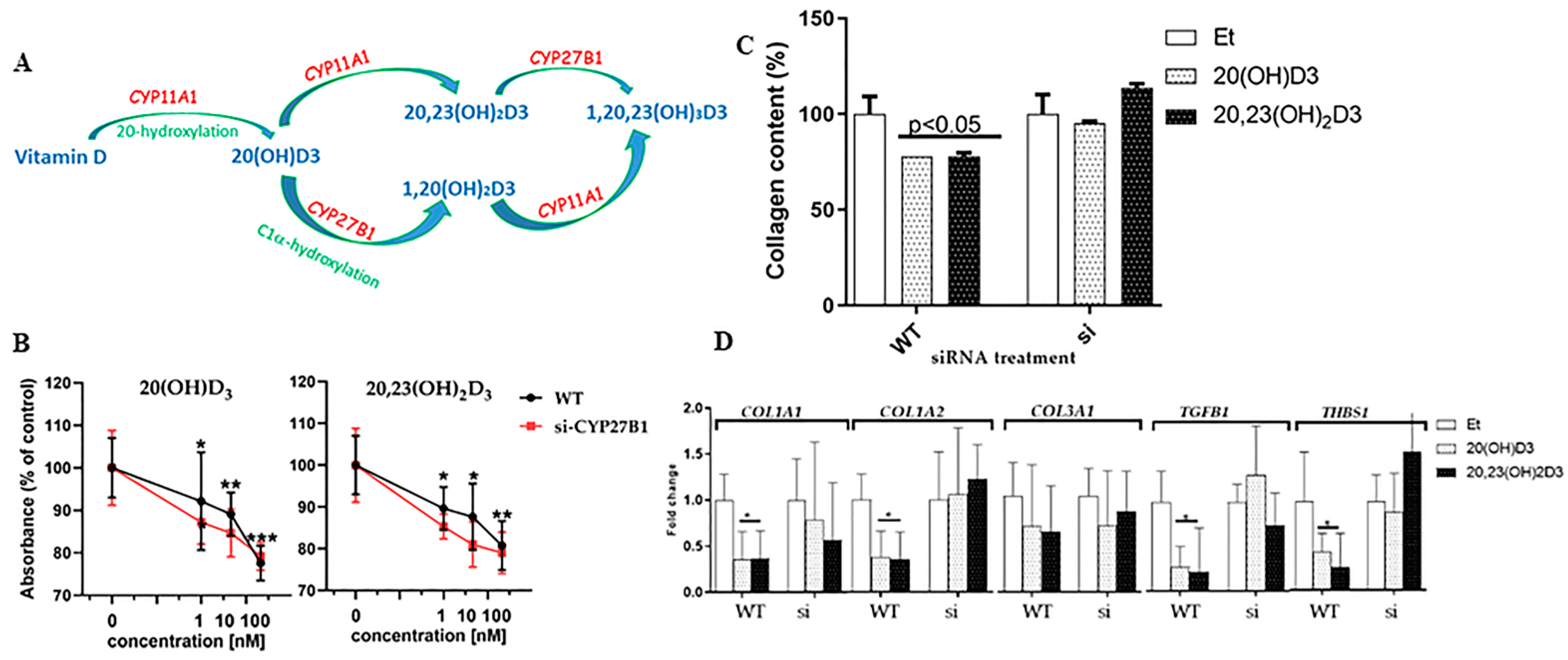Cells 13 00239 g004 Cells 13 00239 g004