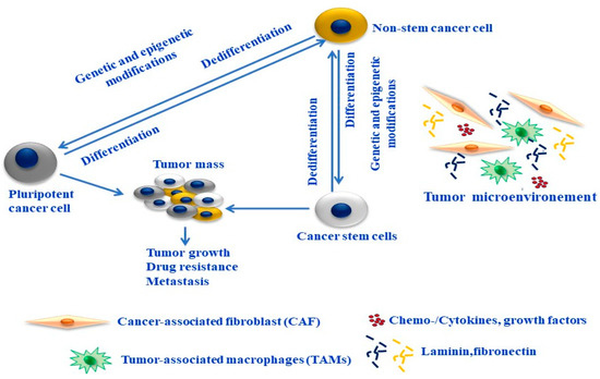 The glycosylation in SARS-CoV-2 and its receptor ACE2