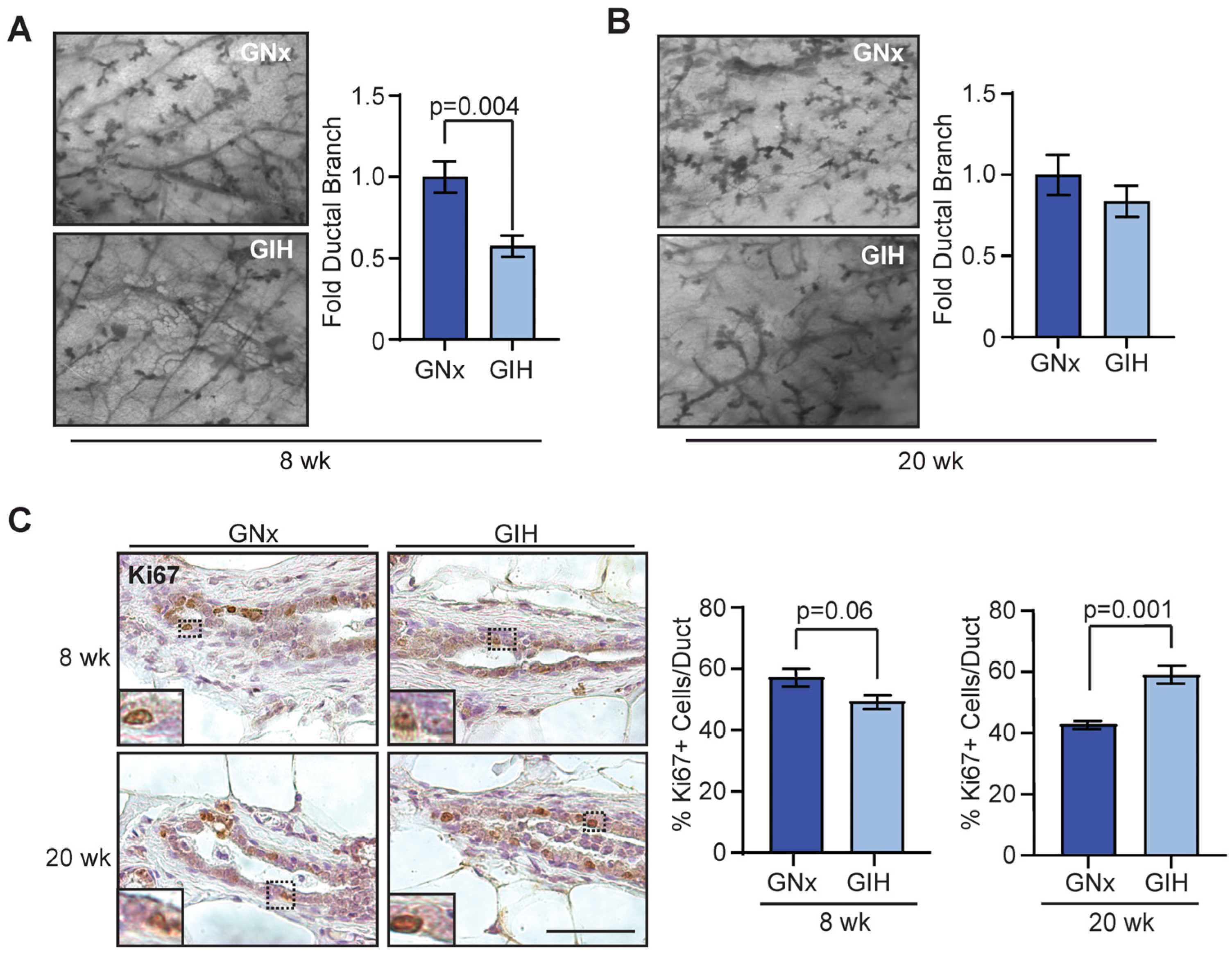 Cells 13 00249 g001 Cells 13 00249 g001