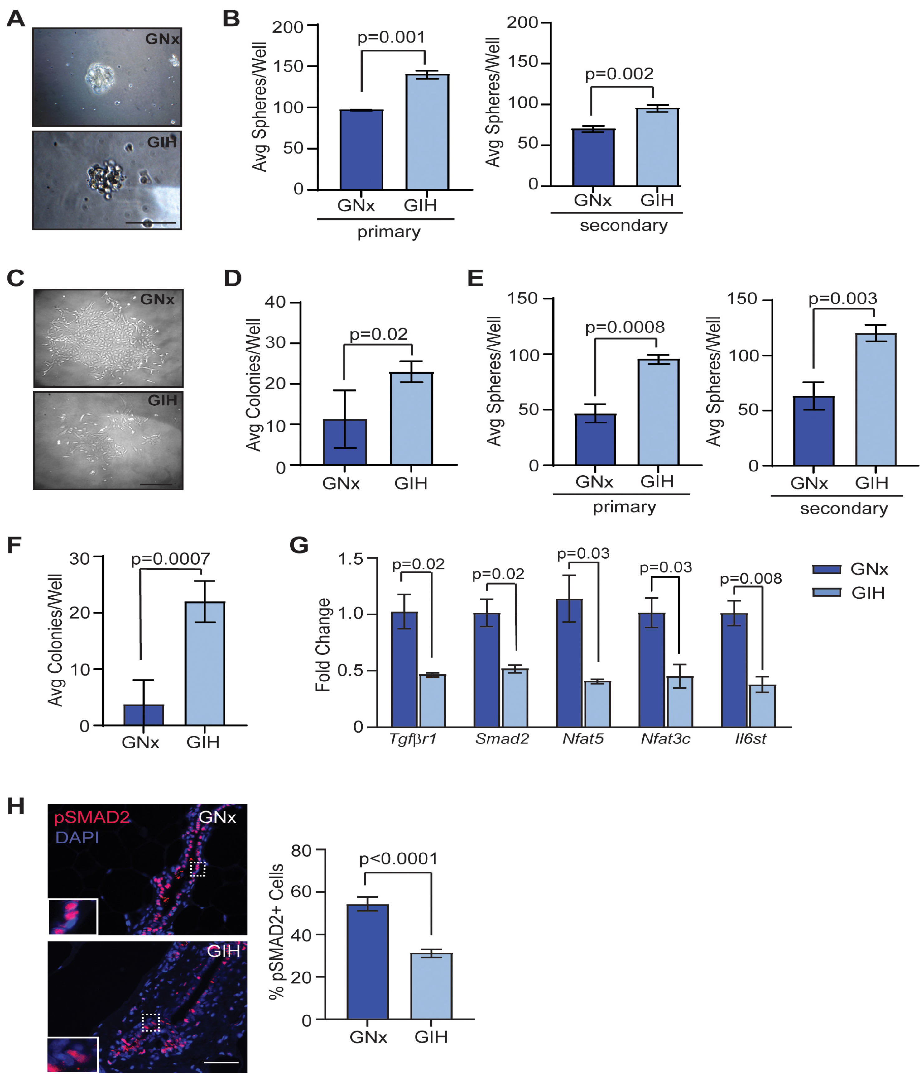 Cells 13 00249 g002 Cells 13 00249 g002