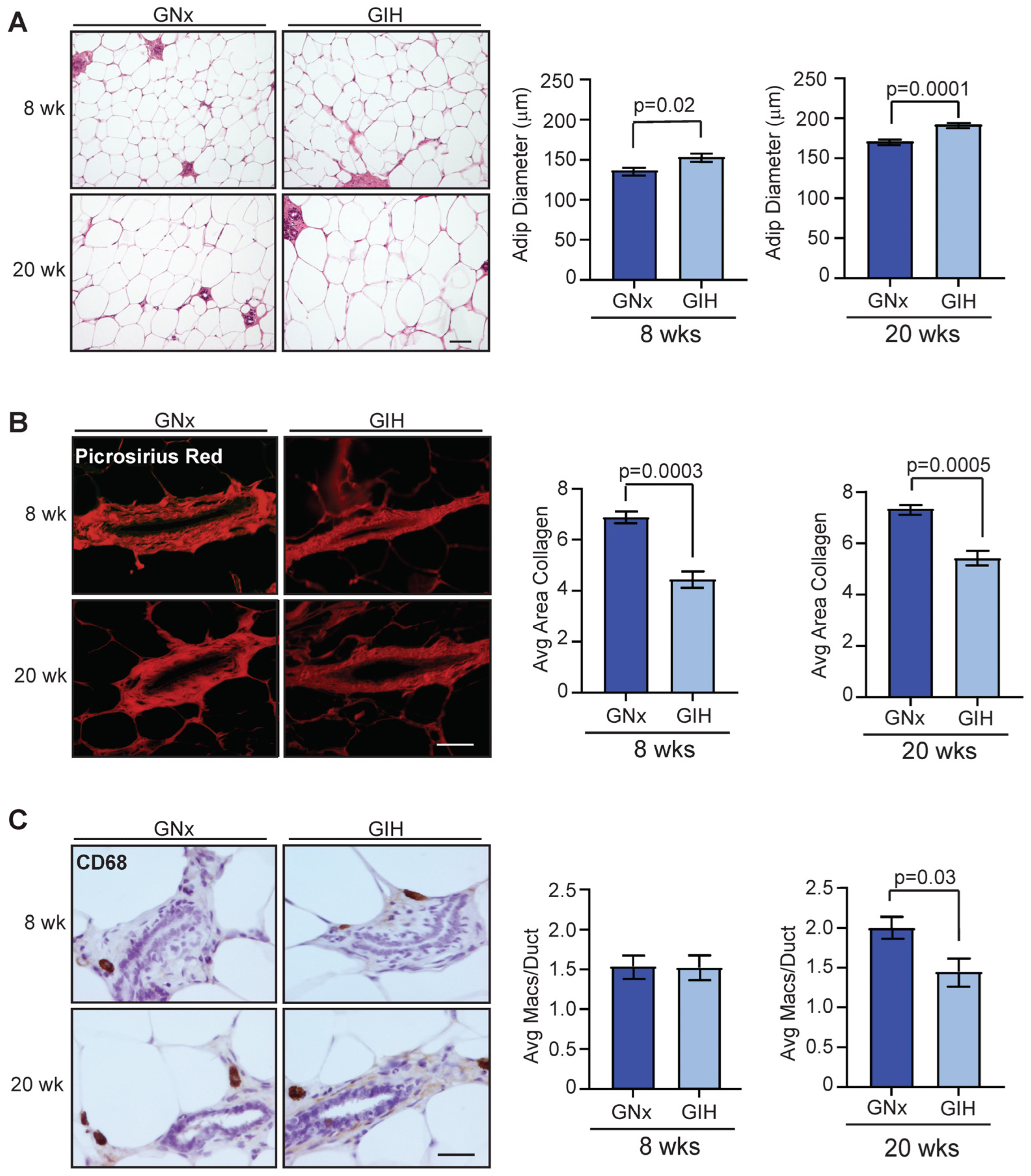 Cells 13 00249 g003 Cells 13 00249 g003