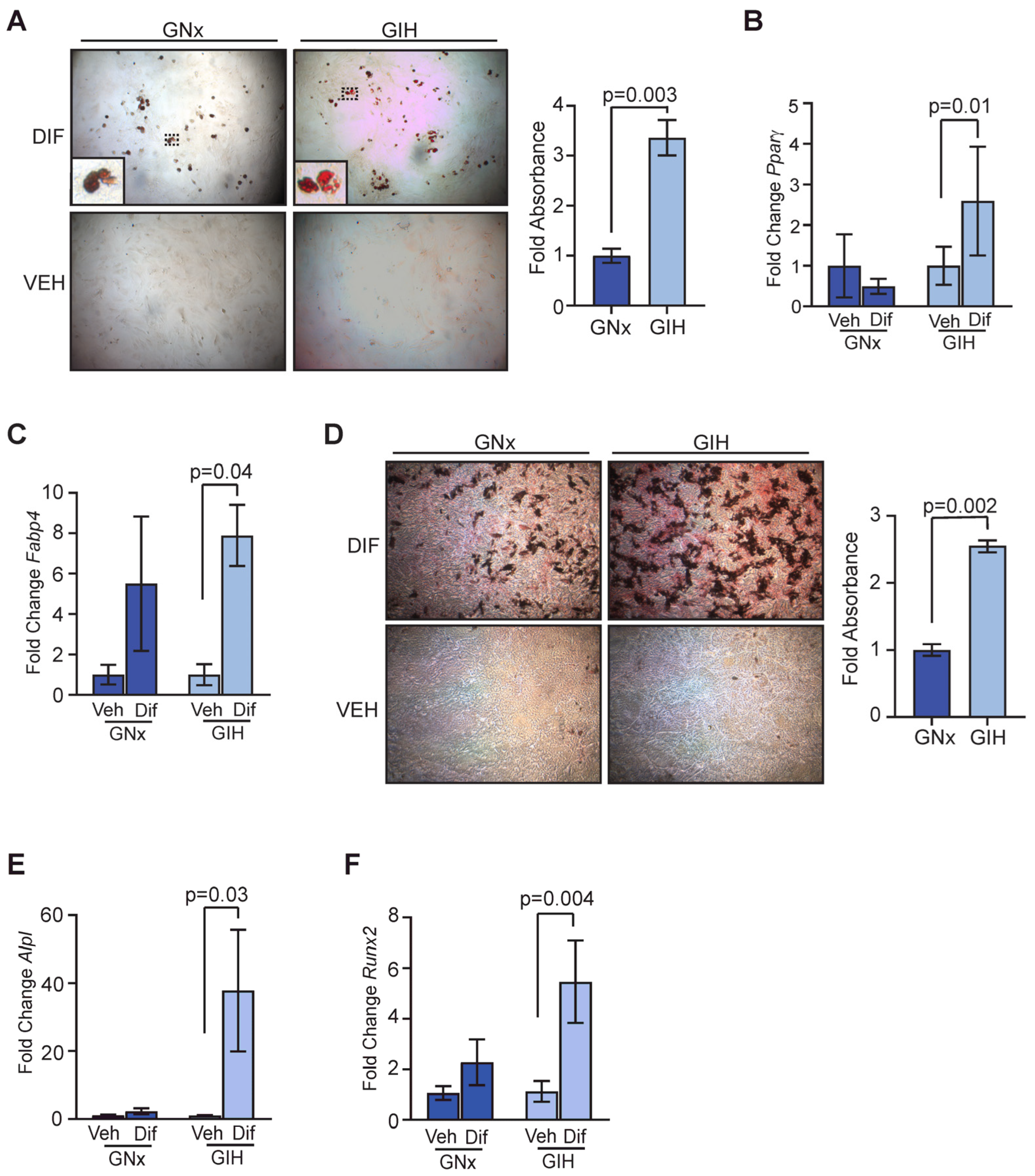 Cells 13 00249 g004 Cells 13 00249 g004
