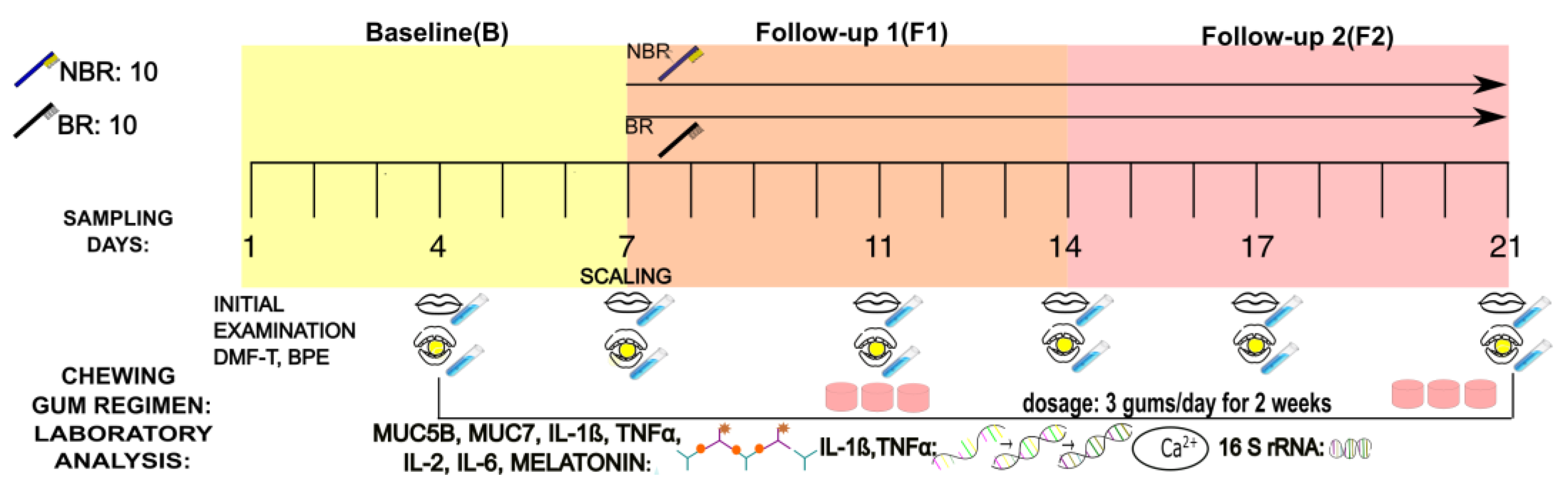 Cells 13 00251 g001 Cells 13 00251 g001