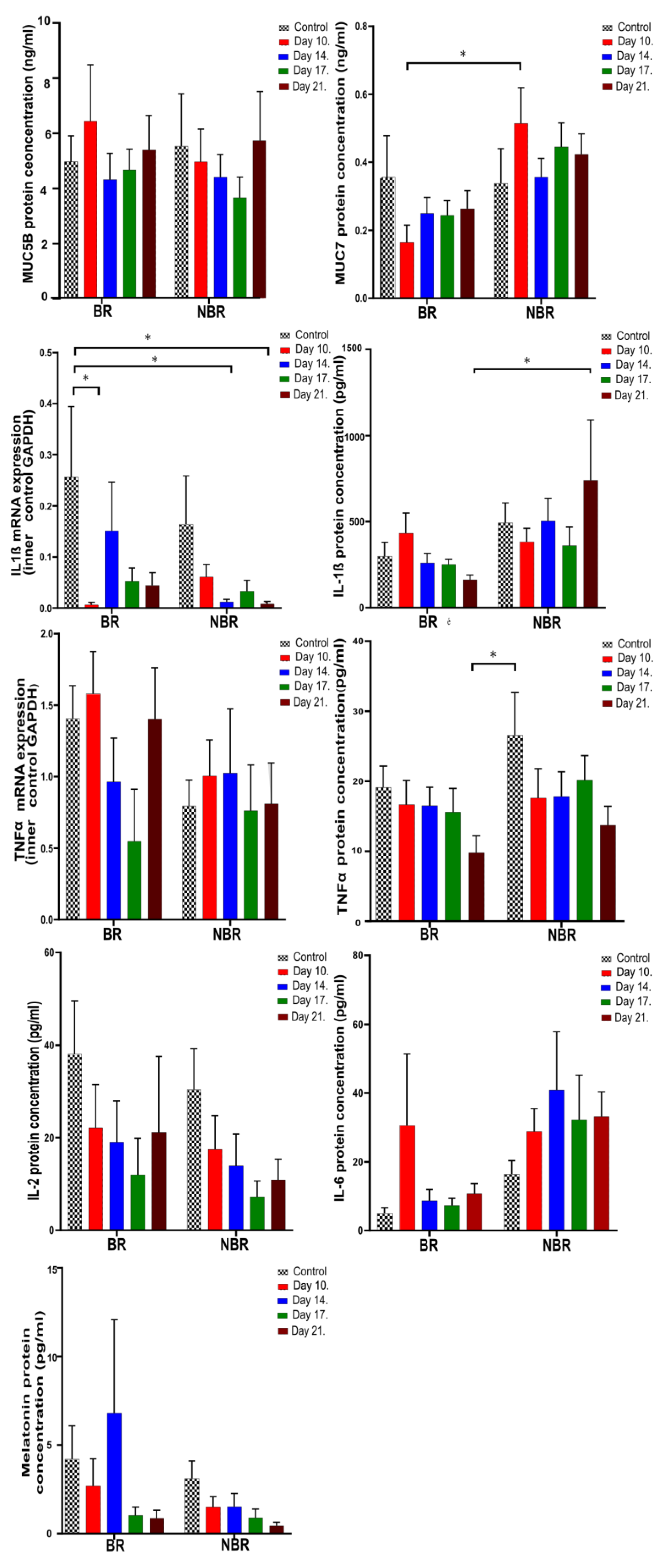 Cells 13 00251 g004 Cells 13 00251 g004