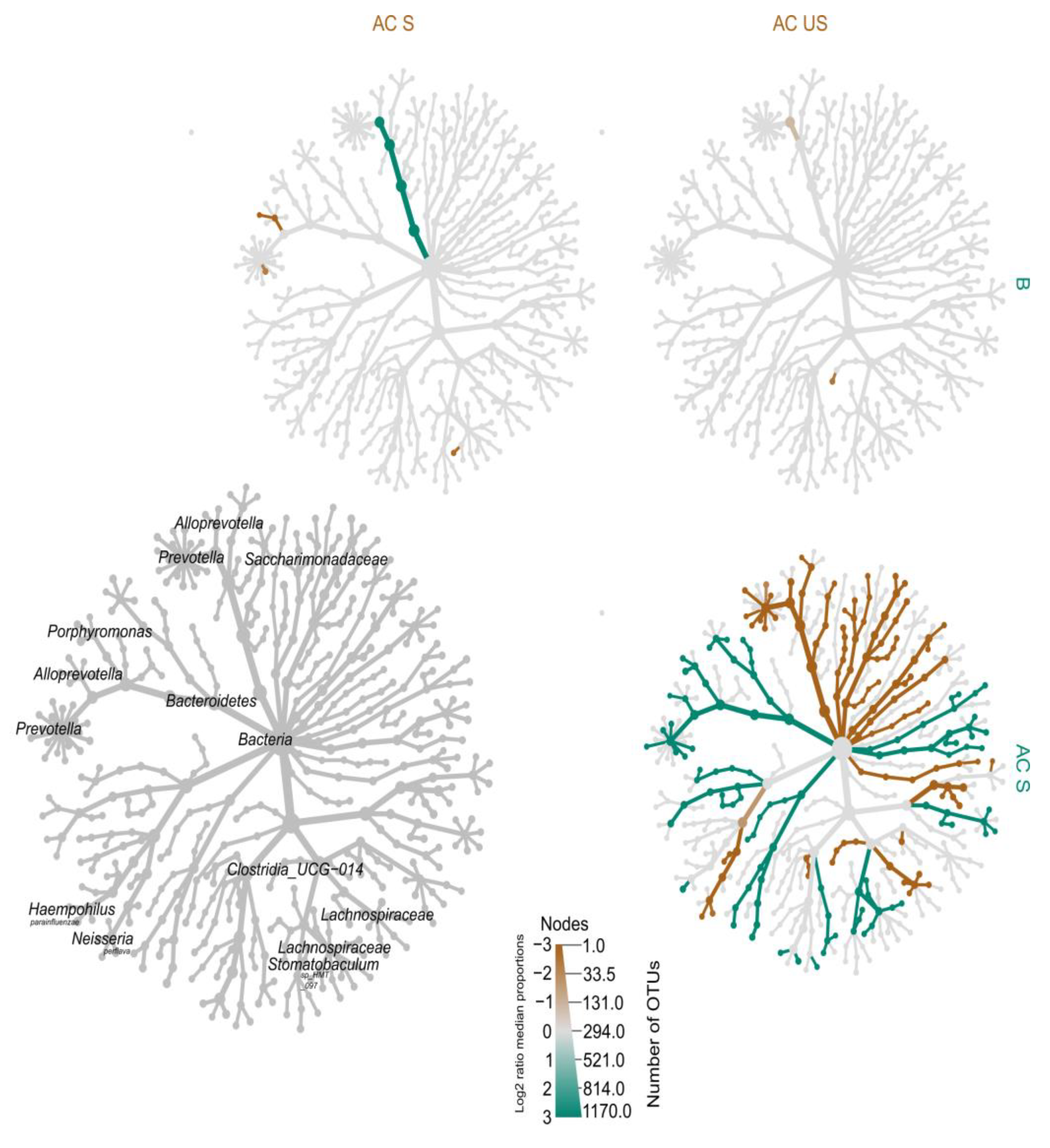 Cells 13 00251 g010 Cells 13 00251 g010