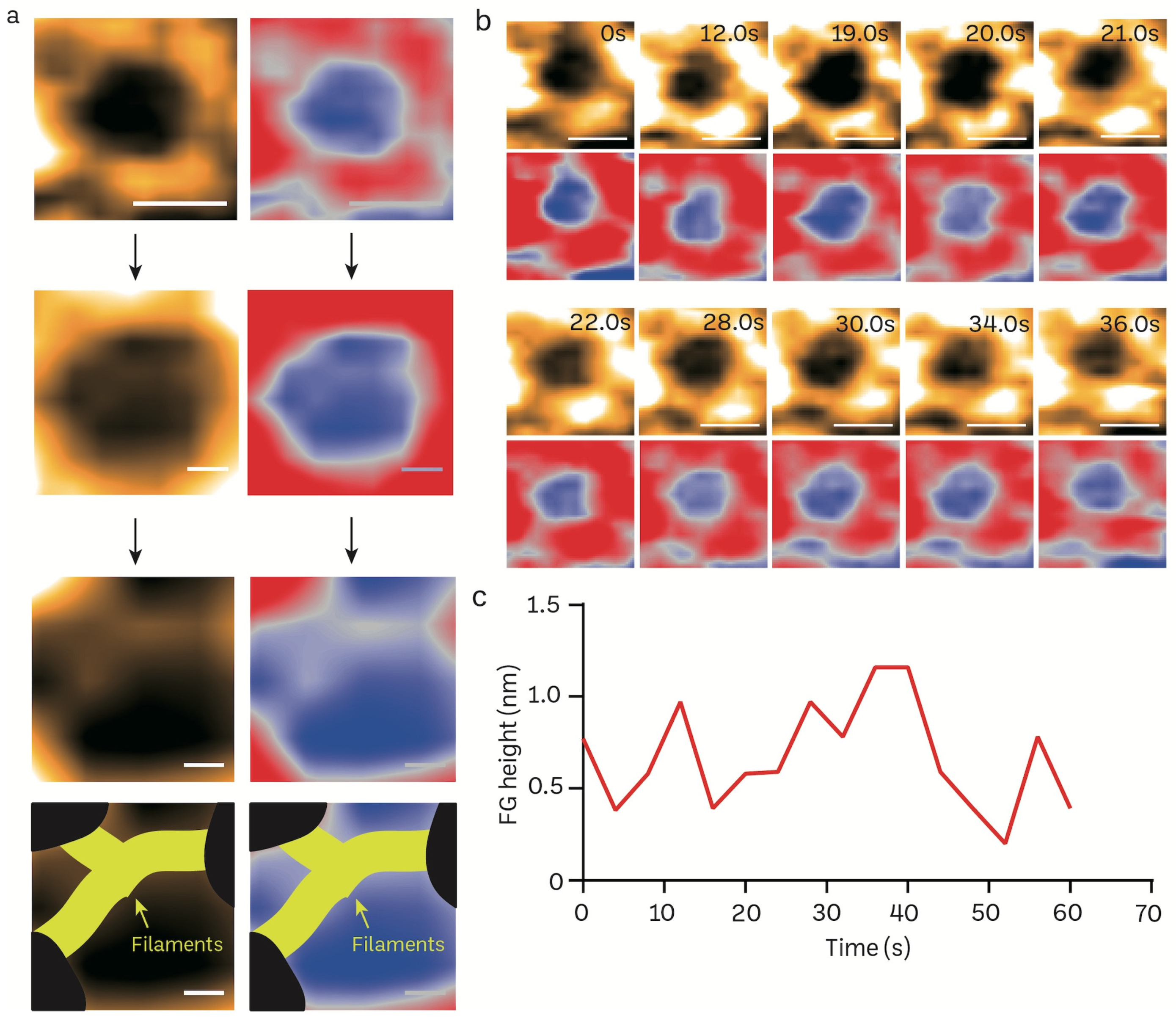 Cells 13 00279 g005 Cells 13 00279 g005