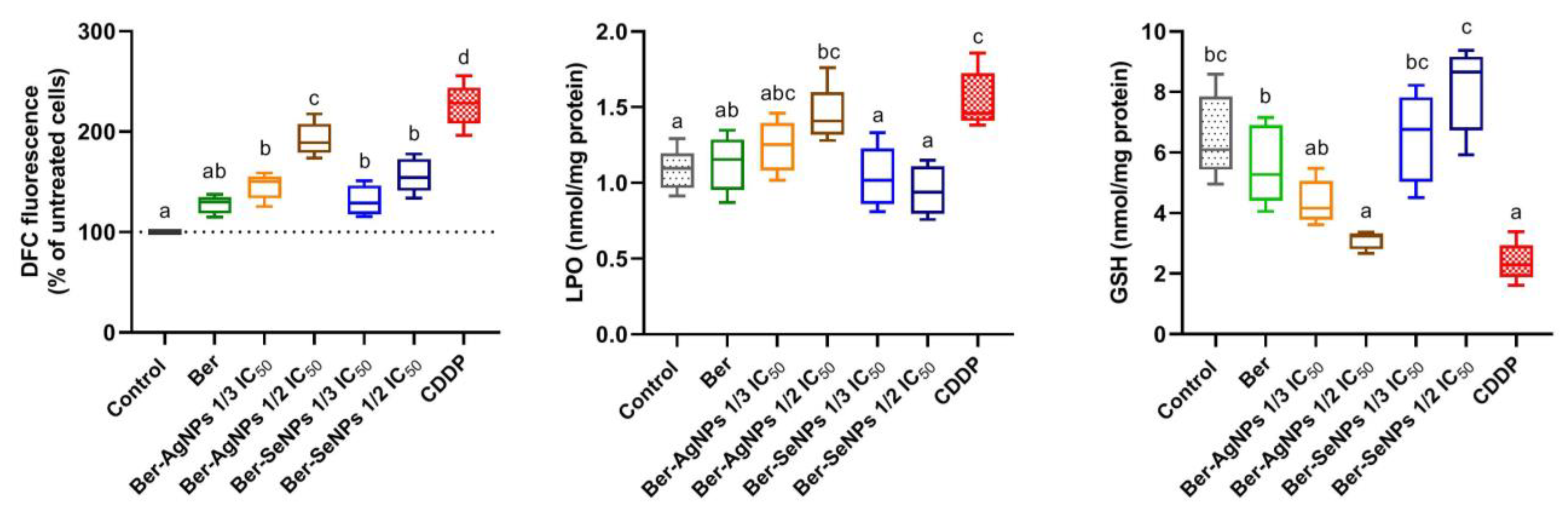 Cells 13 00287 g008 Cells 13 00287 g008