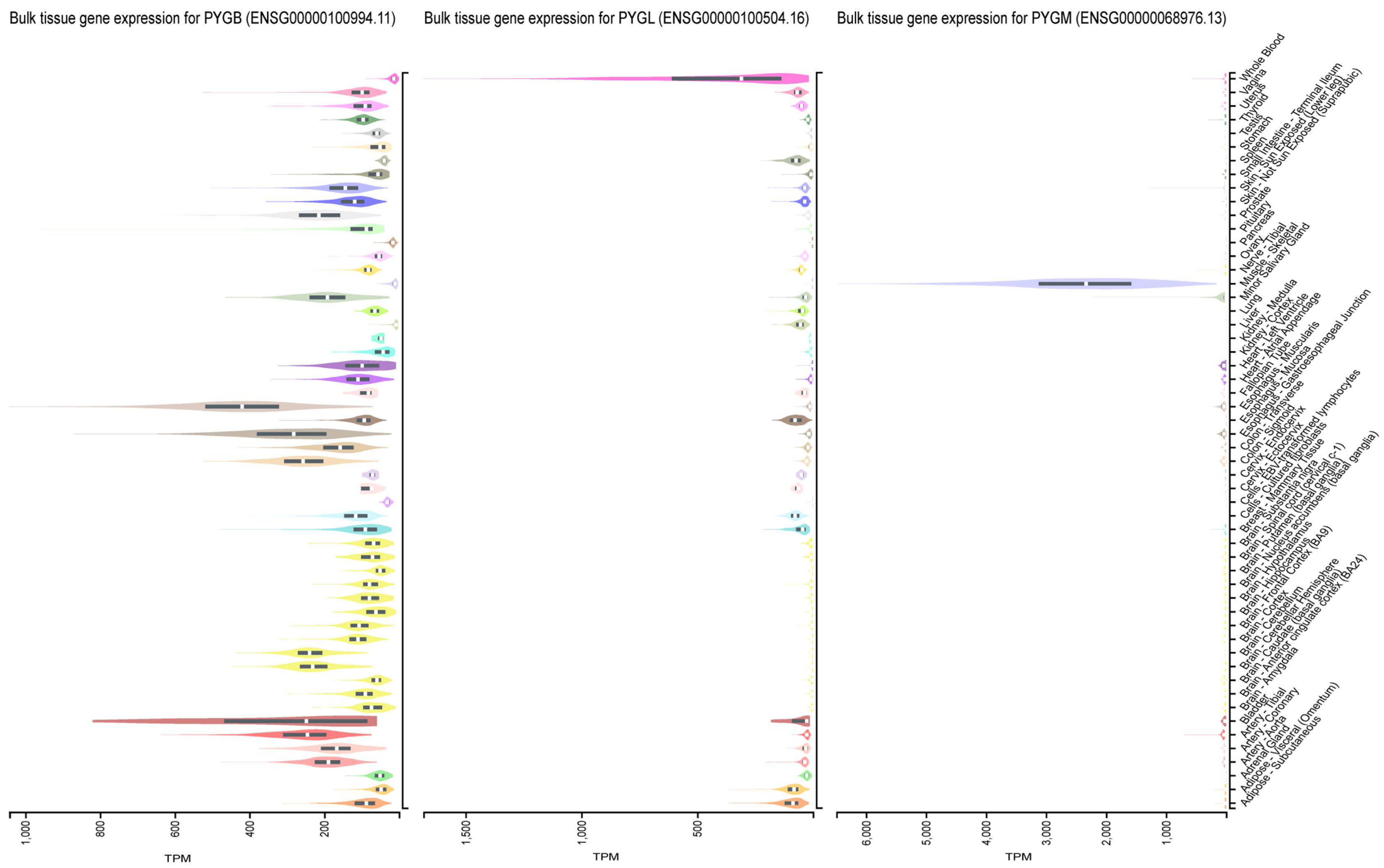 Cells 13 00289 g001 Cells 13 00289 g001