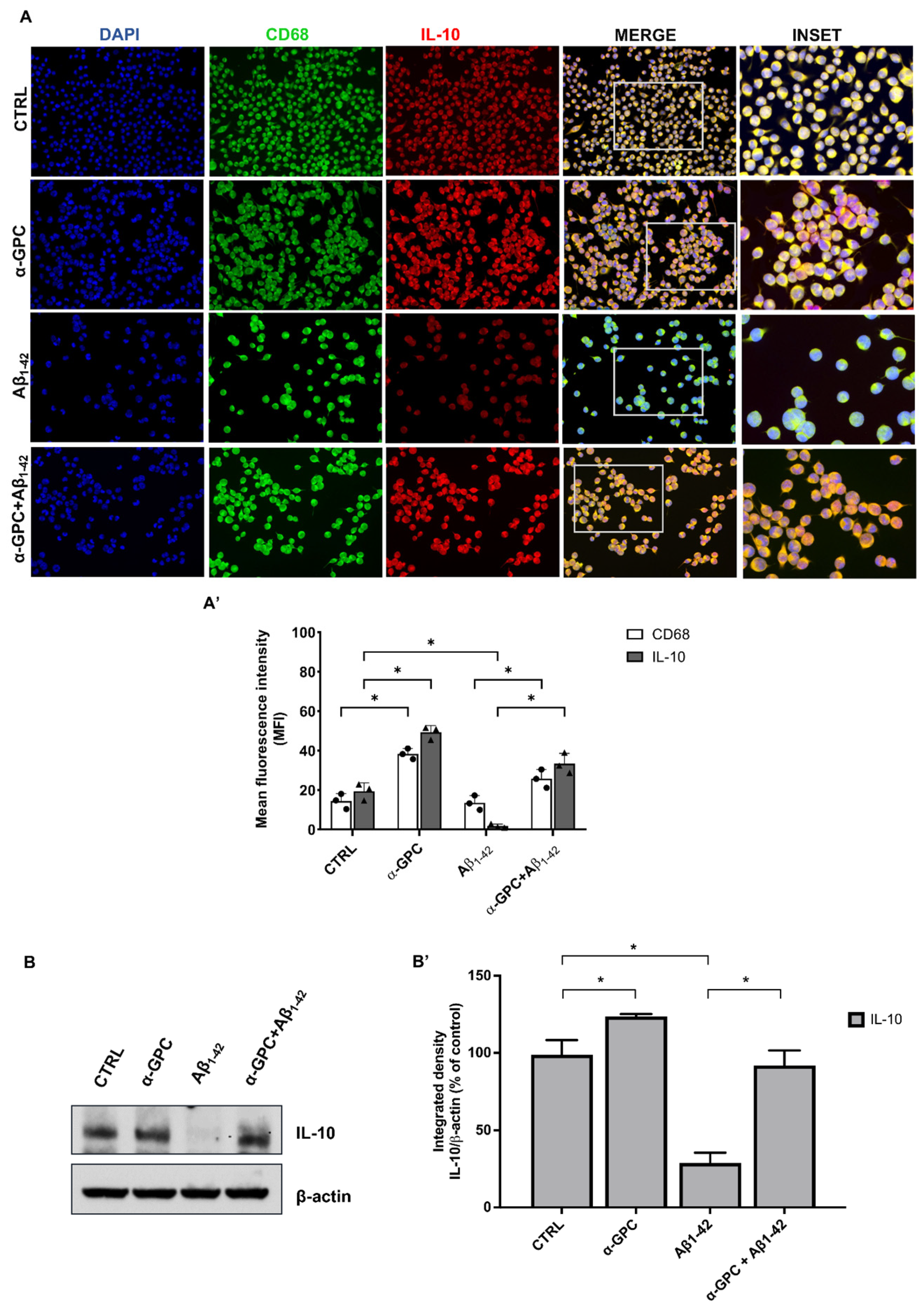 Cells 13 00309 g003