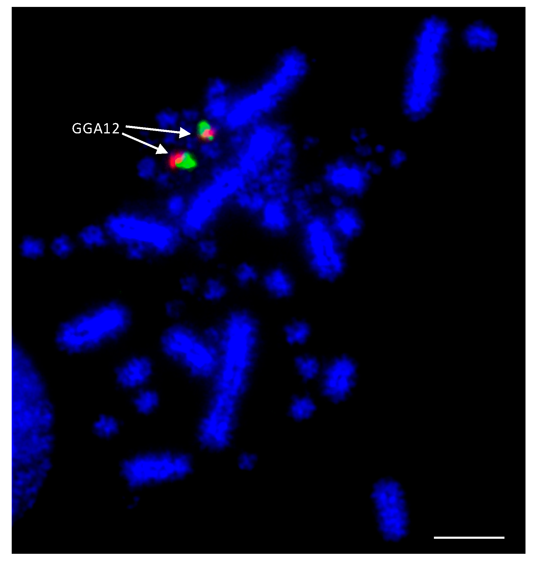 Cells 13 00310 g002 Cells 13 00310 g002