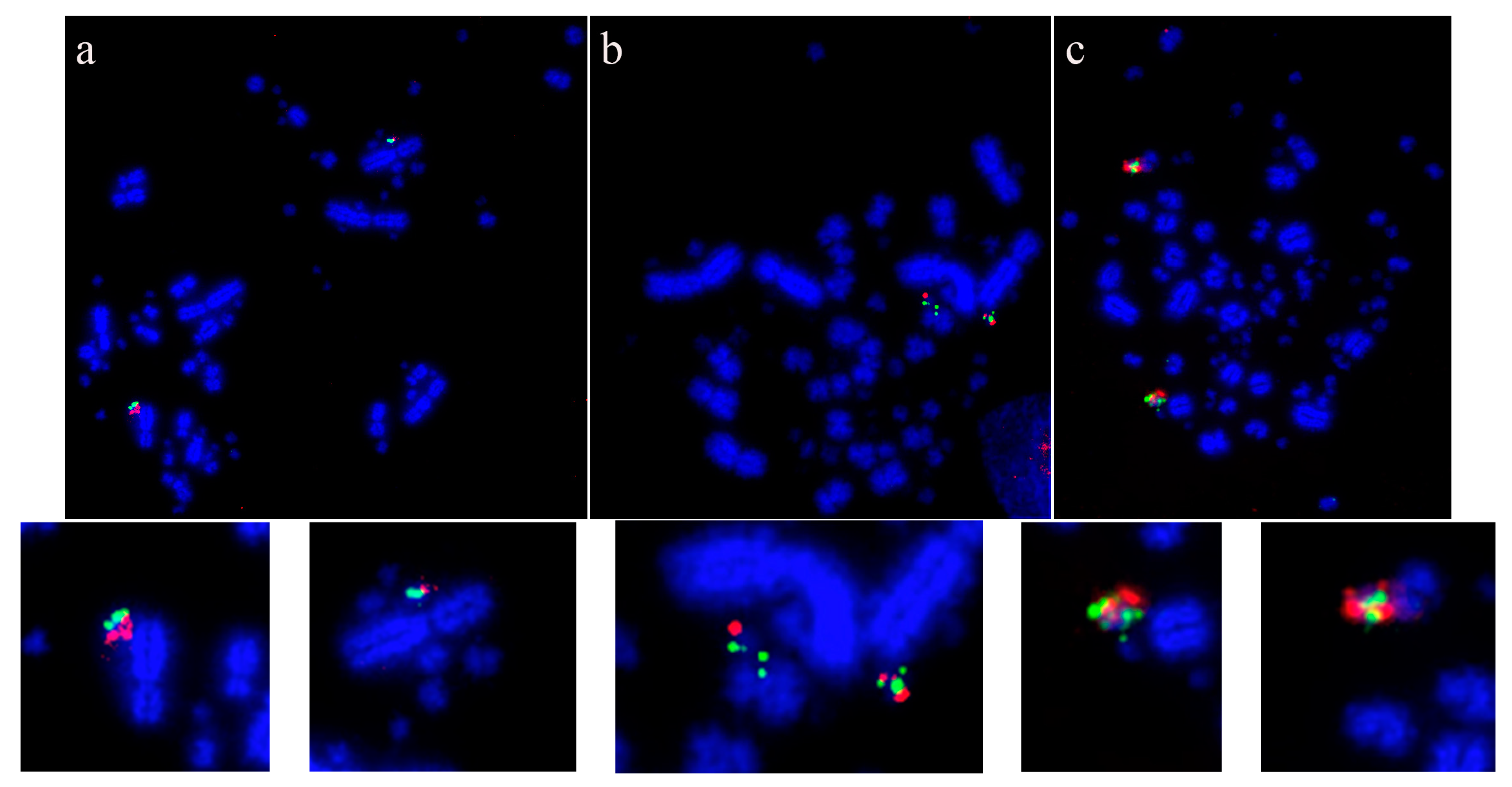 Cells 13 00310 g003 Cells 13 00310 g003