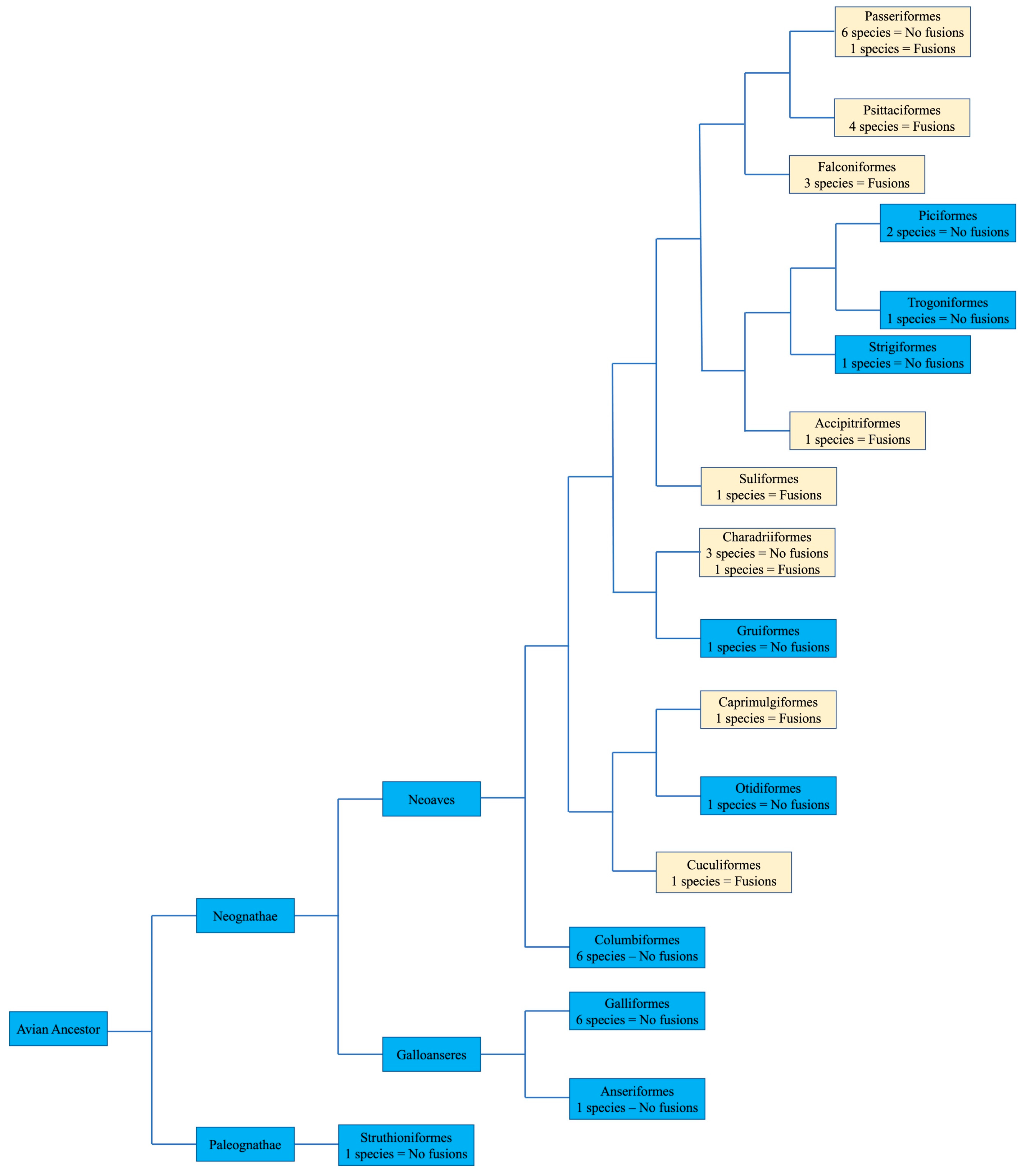 Cells 13 00310 g004 Cells 13 00310 g004
