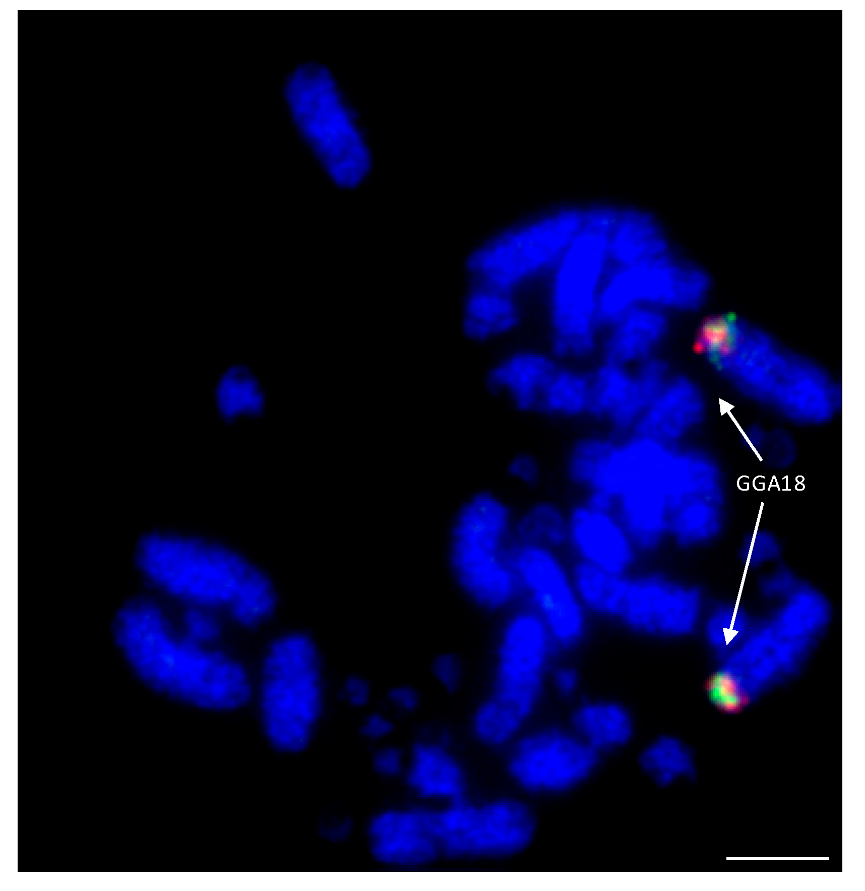 Cells 13 00310 g007 Cells 13 00310 g007