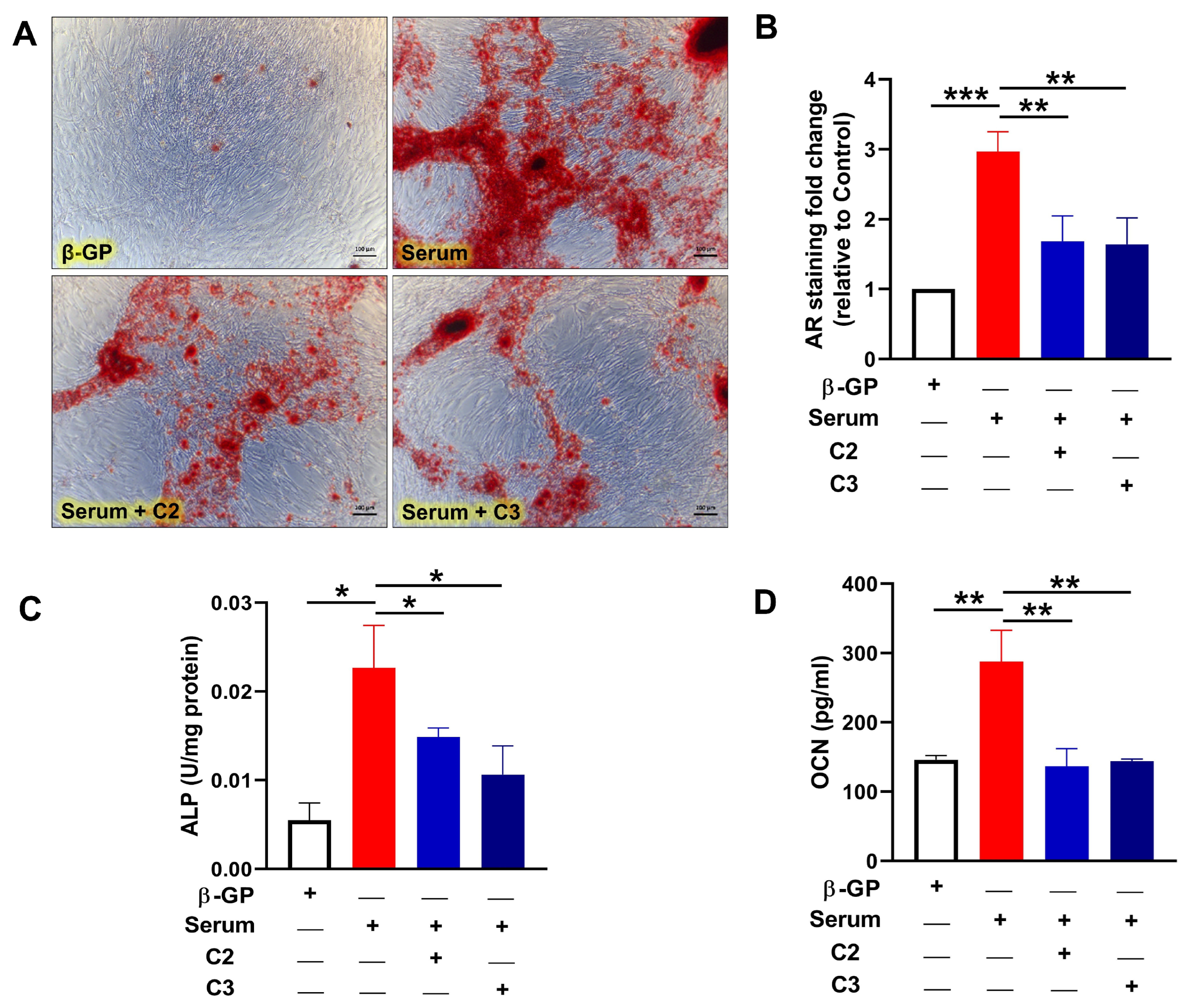 Cells 13 00312 g002 Cells 13 00312 g002