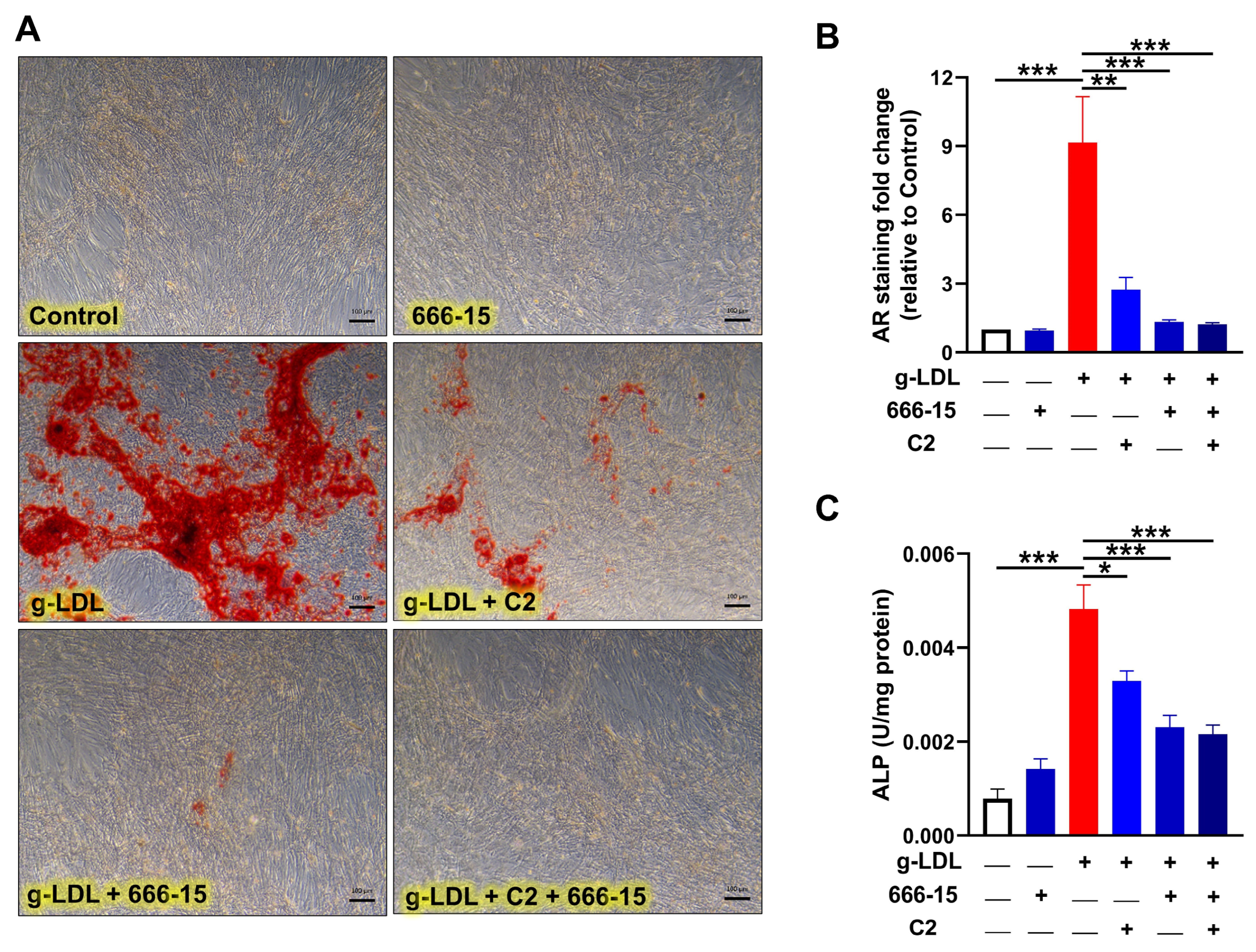 Cells 13 00312 g005 Cells 13 00312 g005