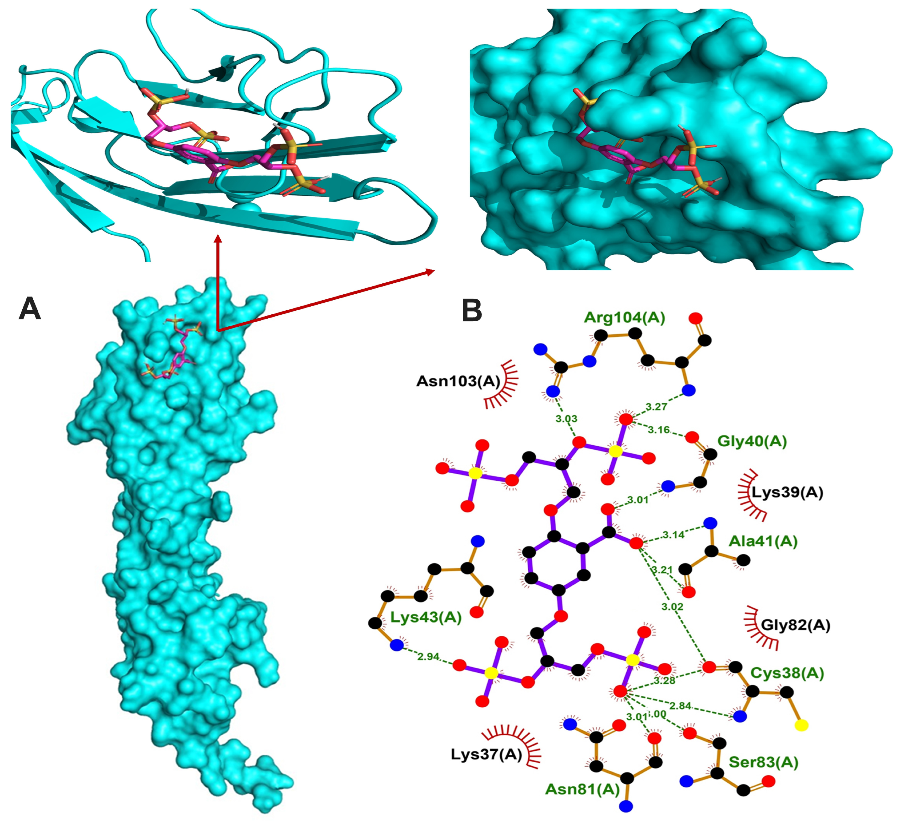 Cells 13 00312 g006 Cells 13 00312 g006