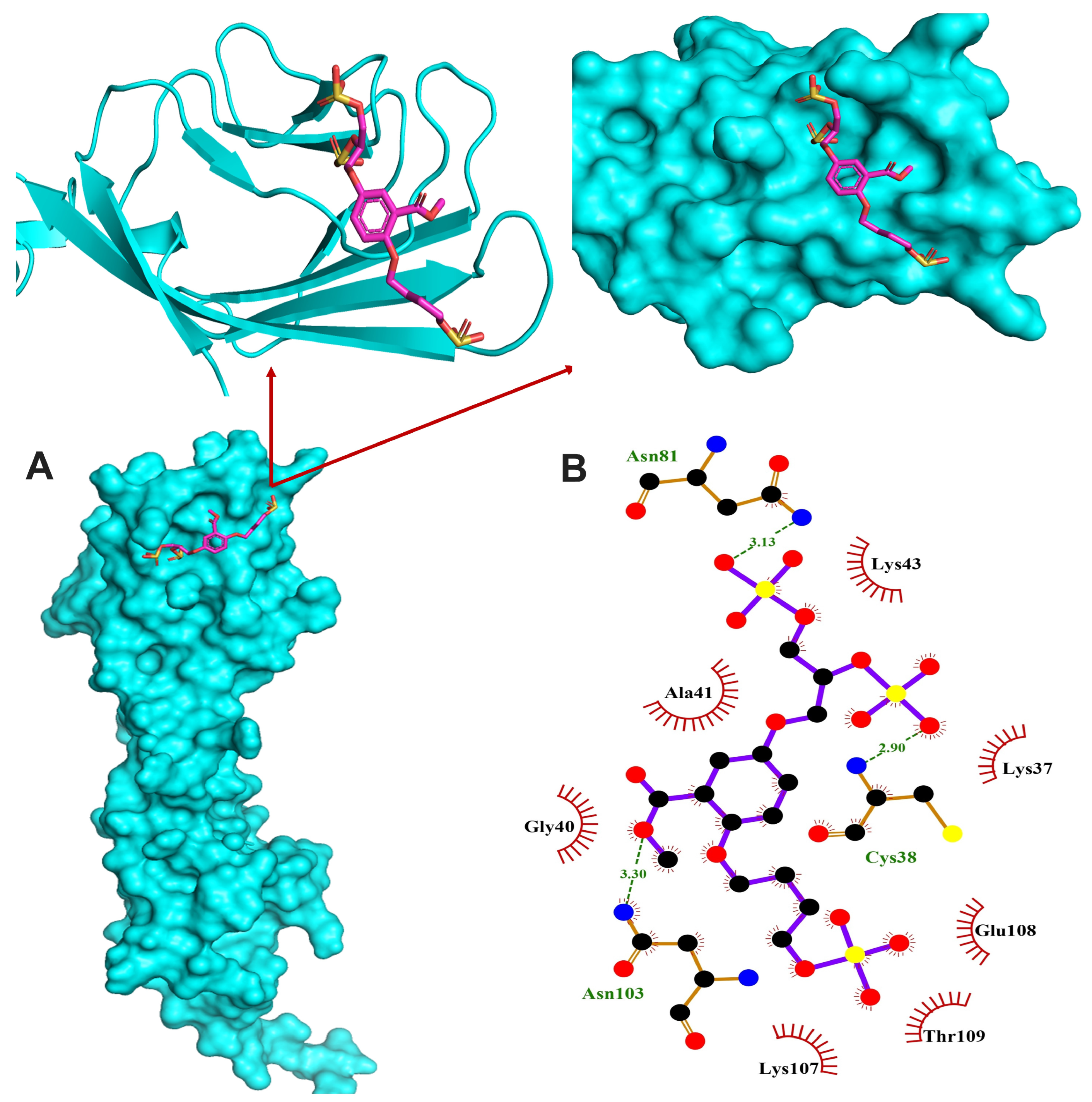 Cells 13 00312 g007 Cells 13 00312 g007
