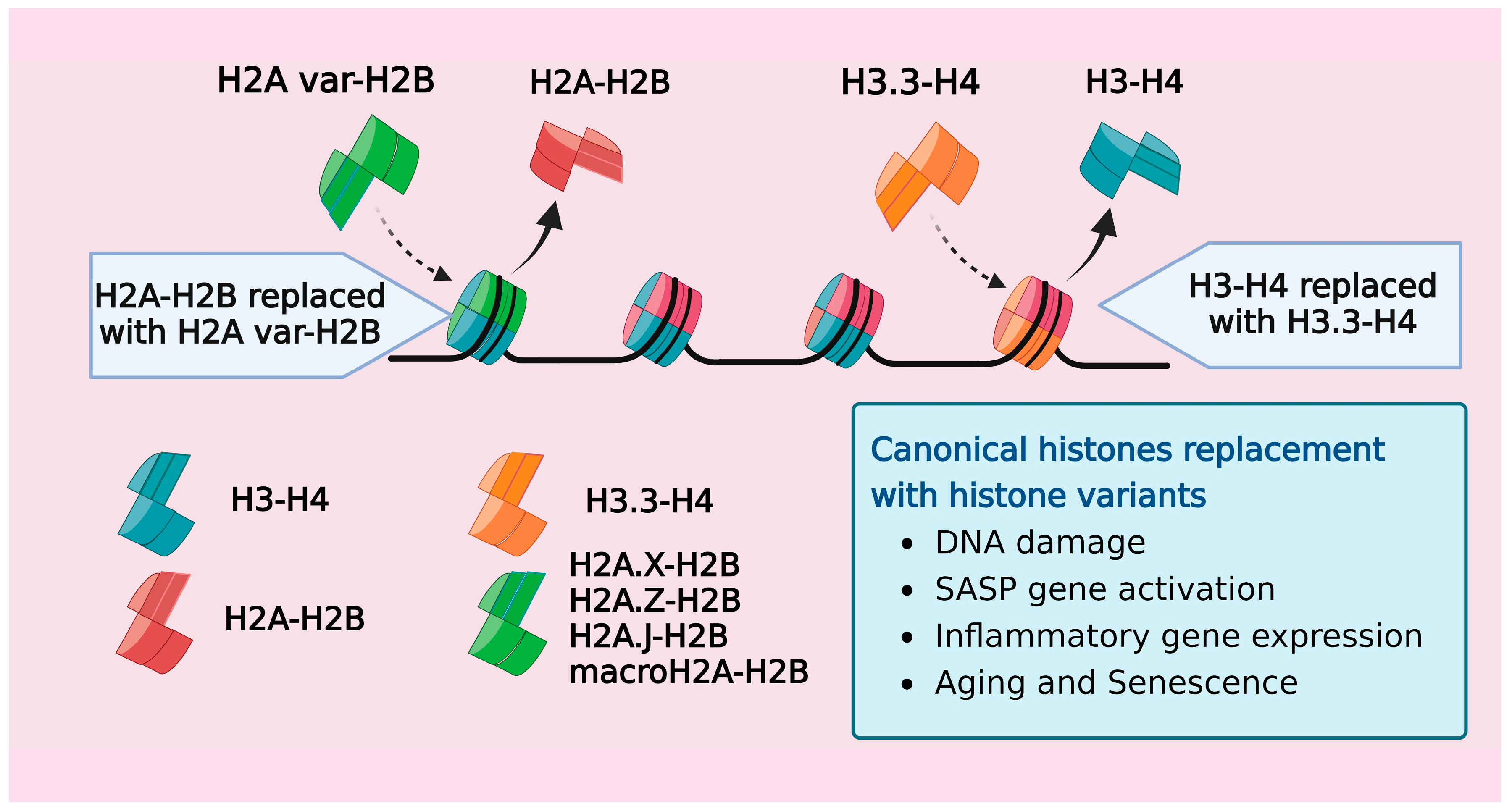 Cells 13 00320 g002 Cells 13 00320 g002