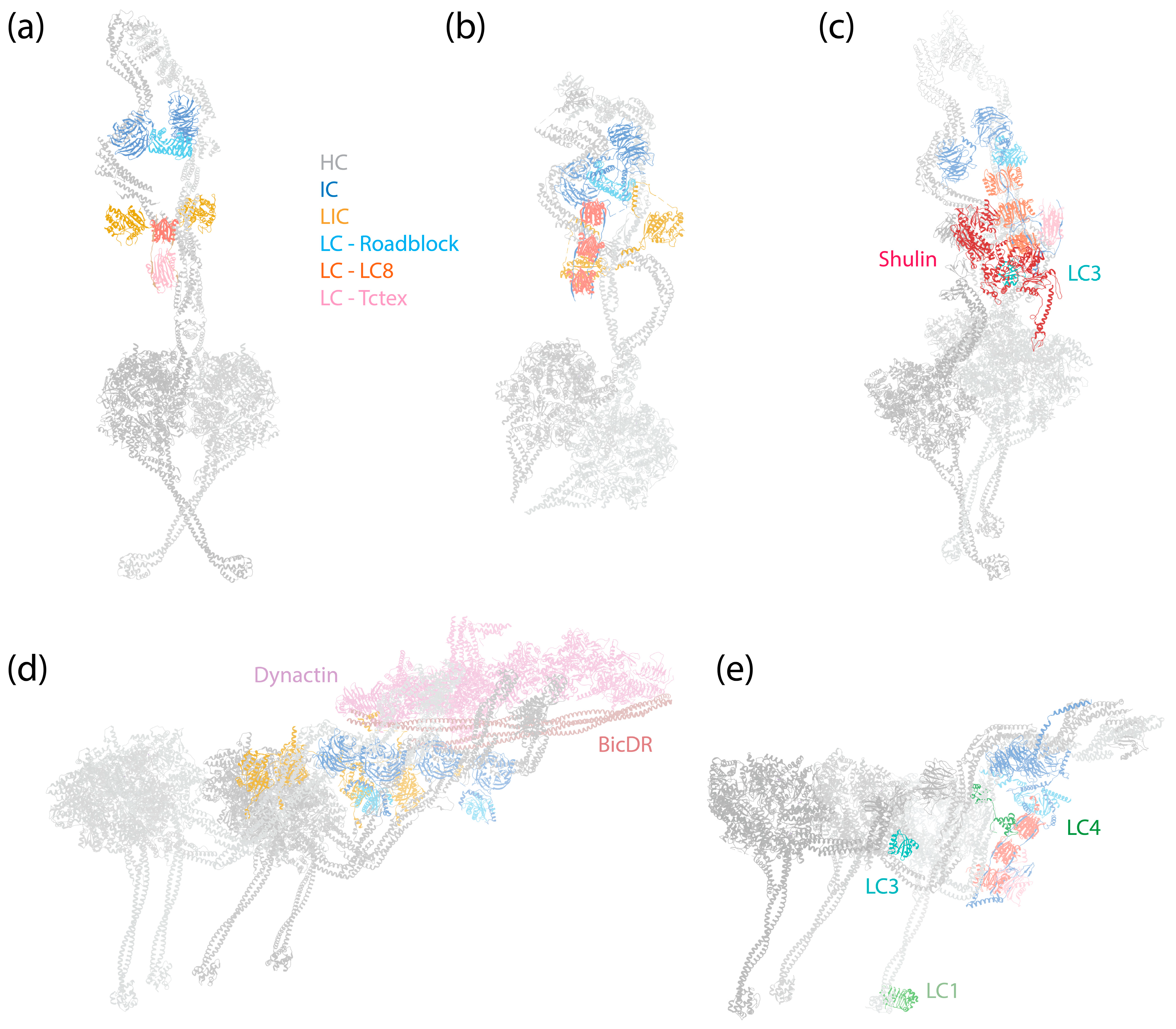 Cells 13 00330 g001 Cells 13 00330 g001