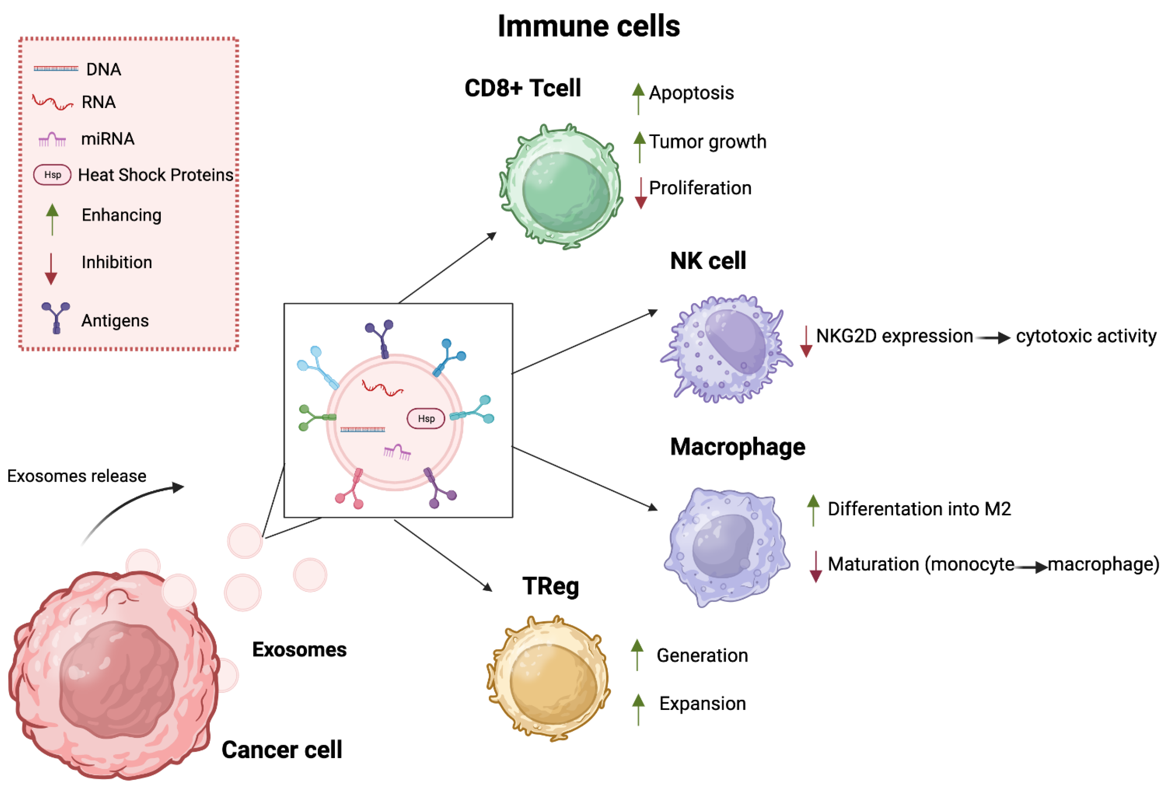Cells 13 00337 g001 Cells 13 00337 g001