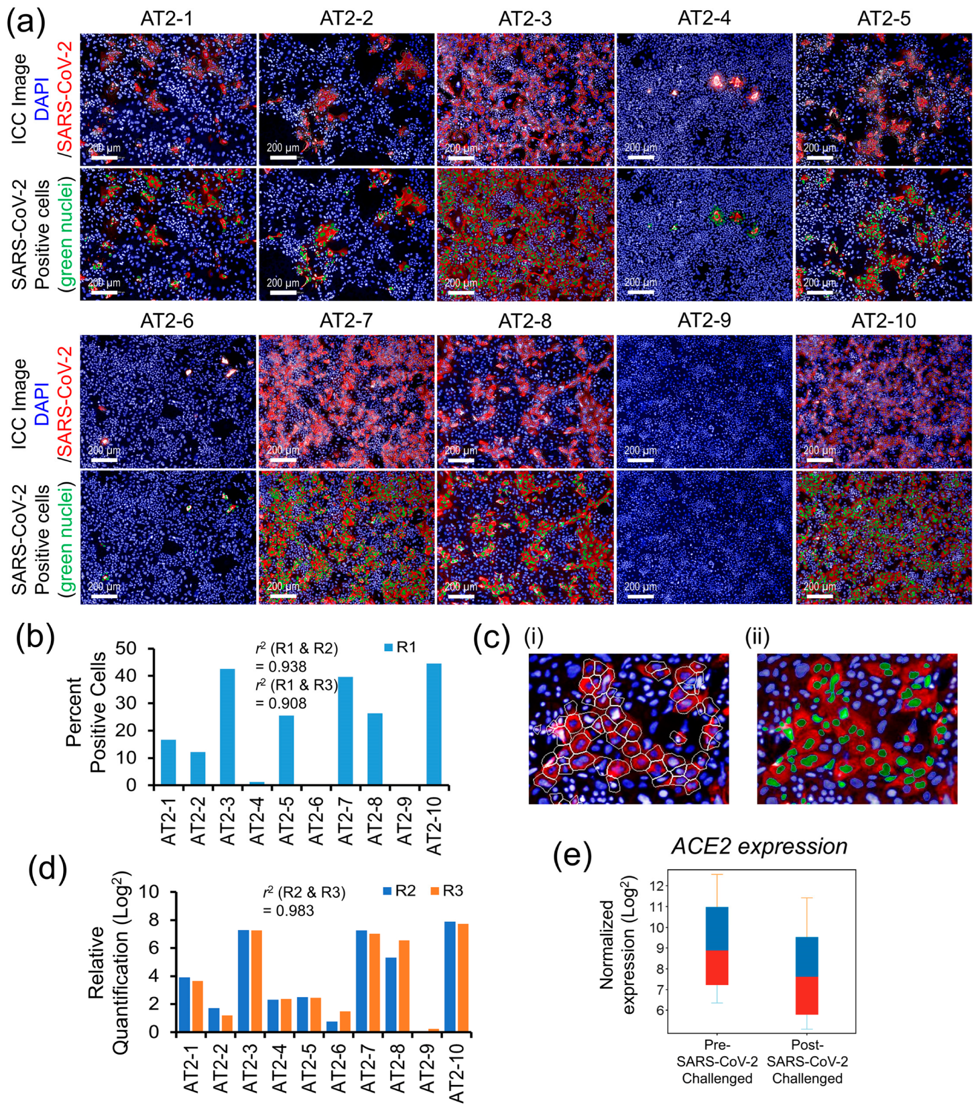 Cells 13 00369 g003 Cells 13 00369 g003