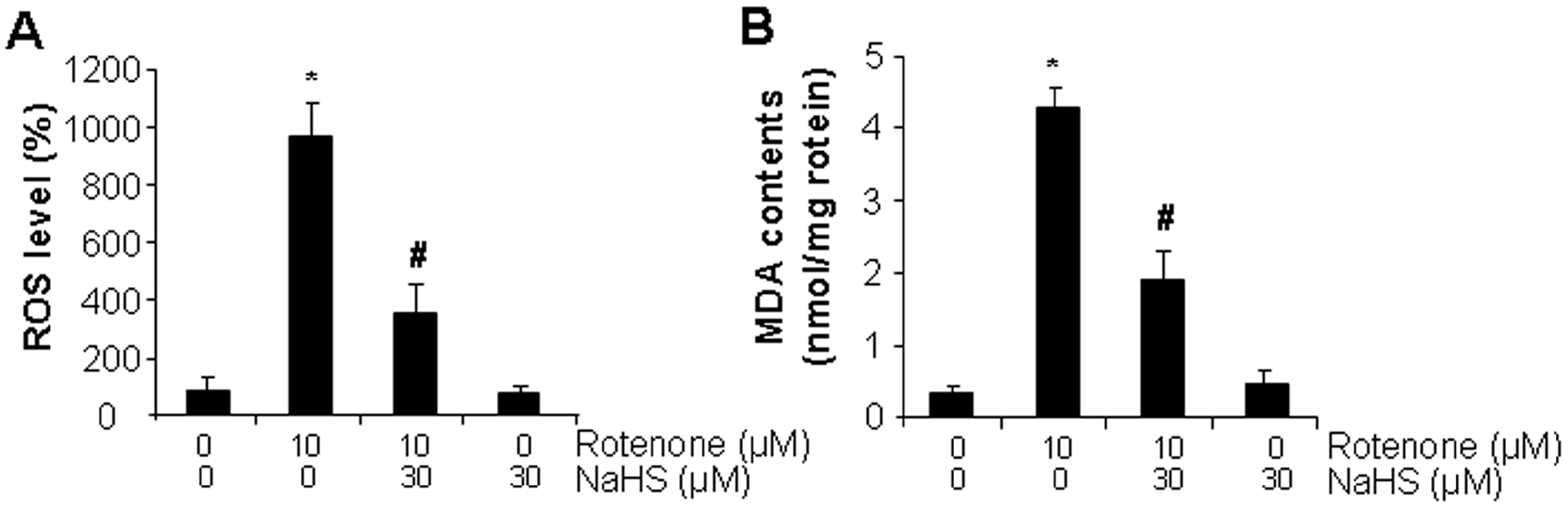 Cells 13 00371 g002a