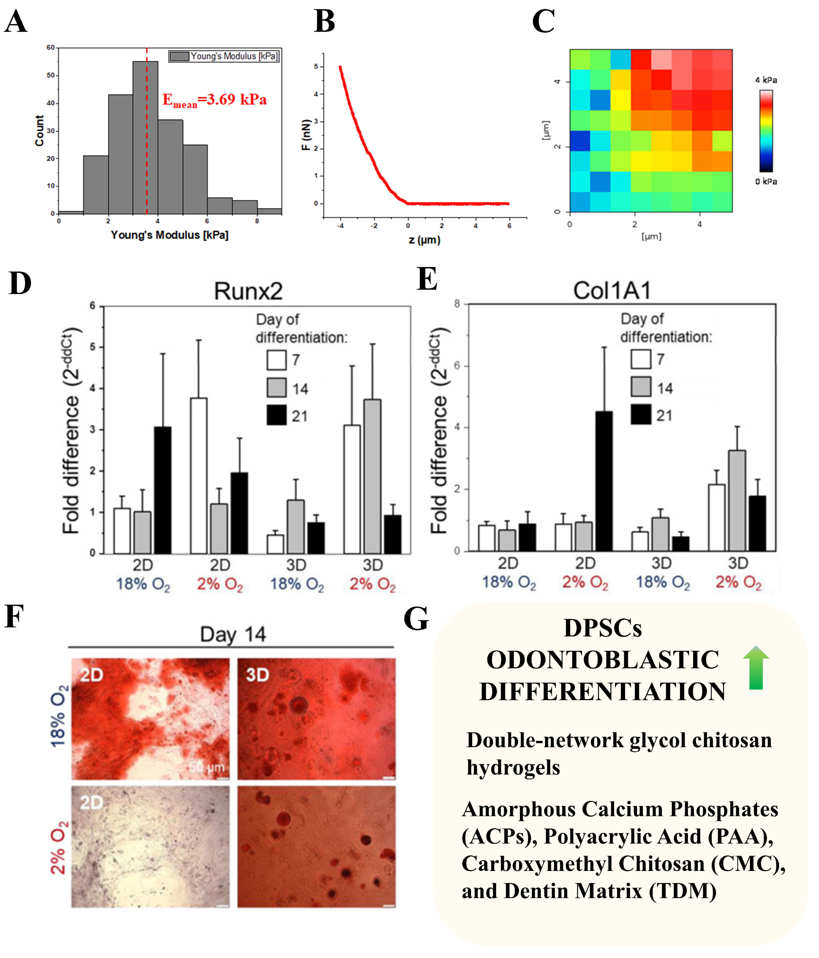 Cells 13 00375 g004 Cells 13 00375 g004