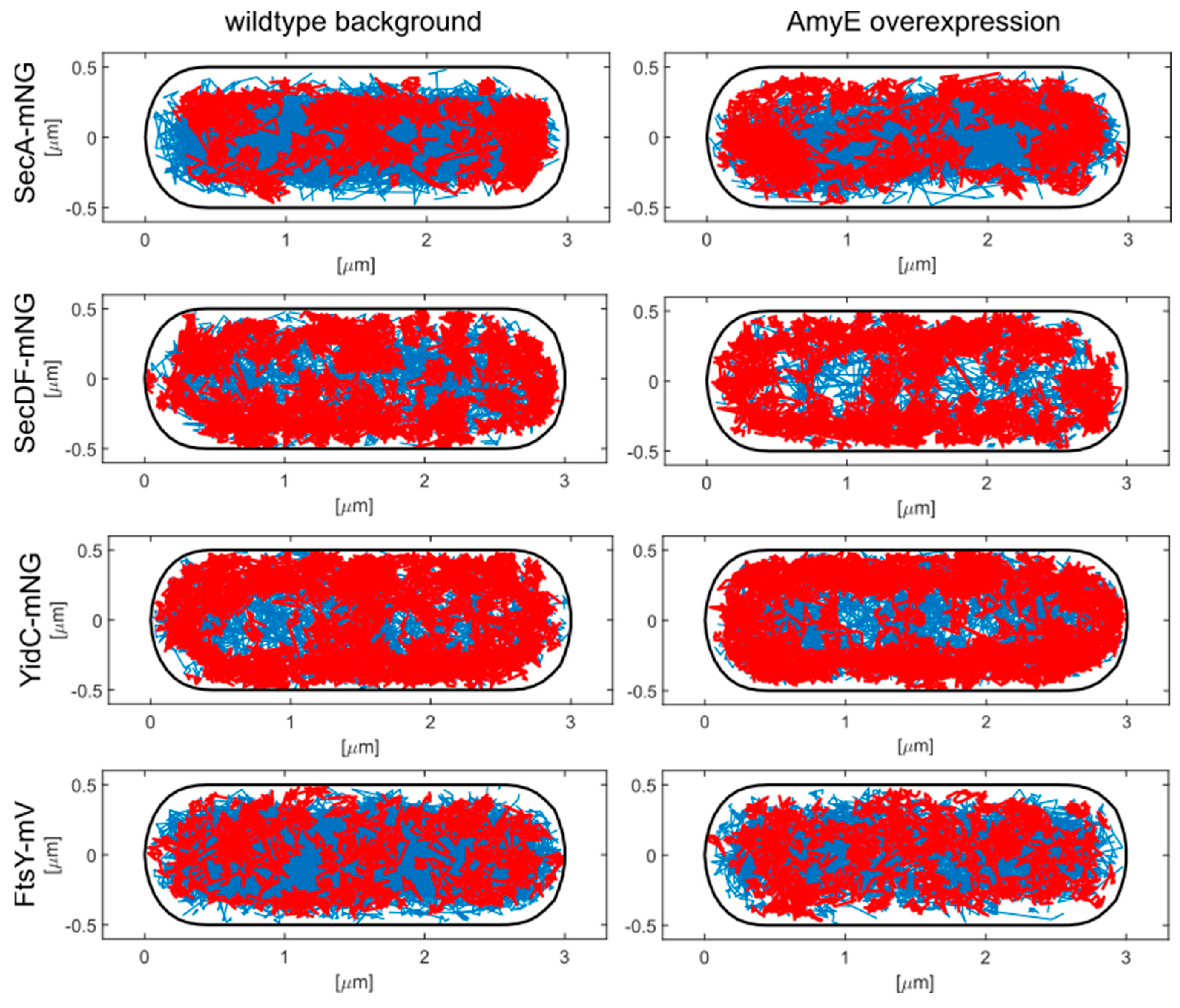 Cells 13 00377 g002 Cells 13 00377 g002
