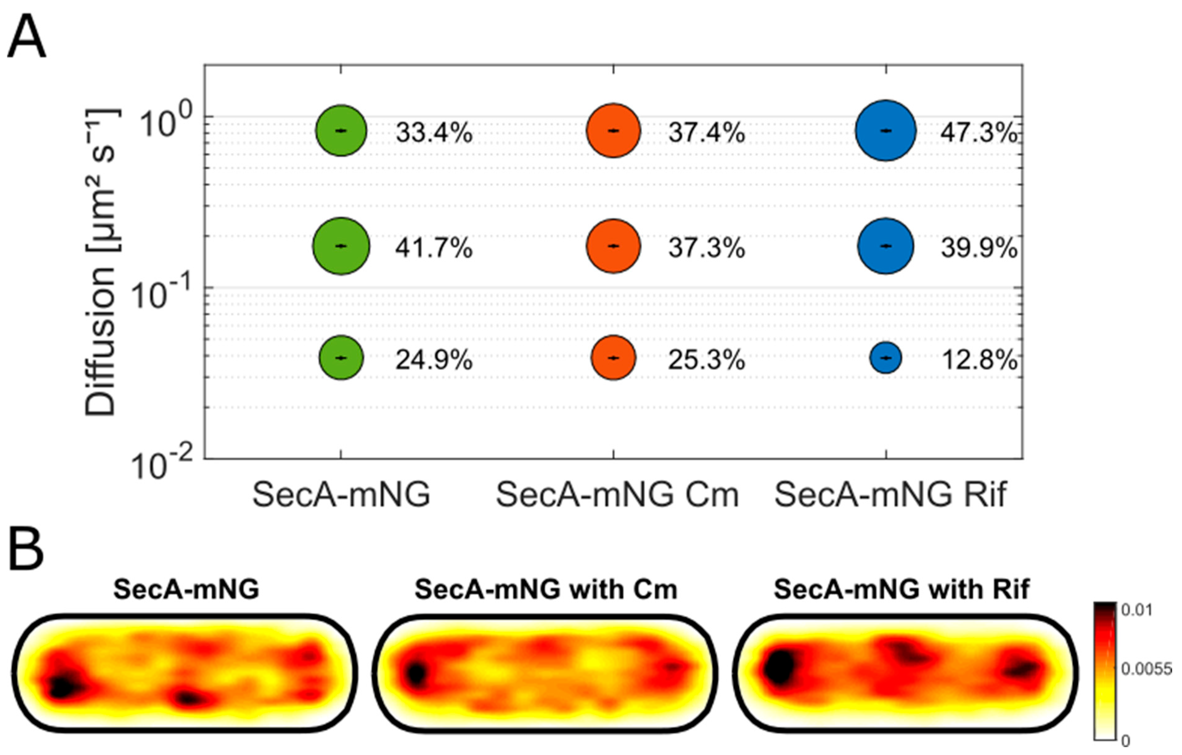 Cells 13 00377 g003 Cells 13 00377 g003