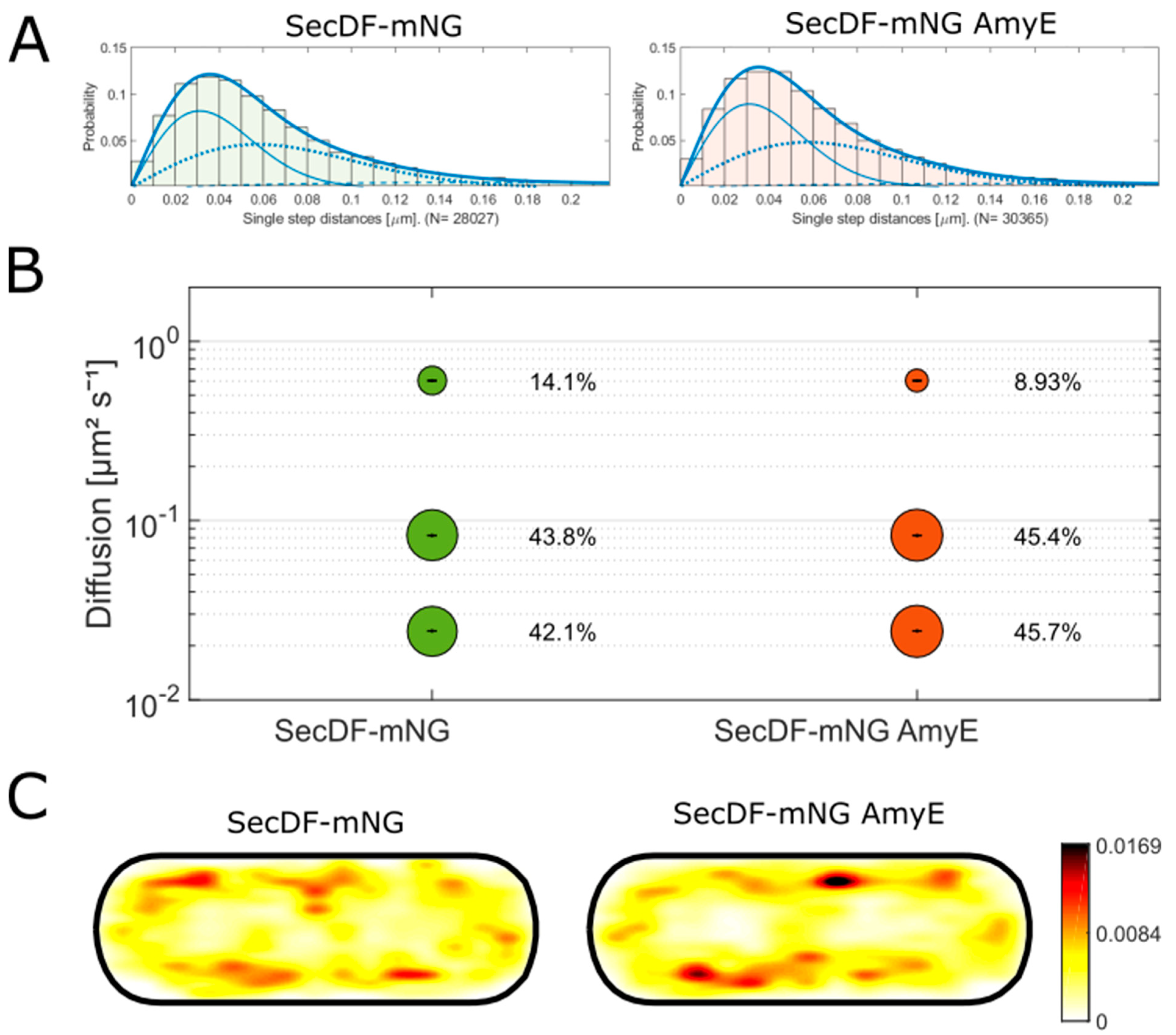 Cells 13 00377 g004 Cells 13 00377 g004