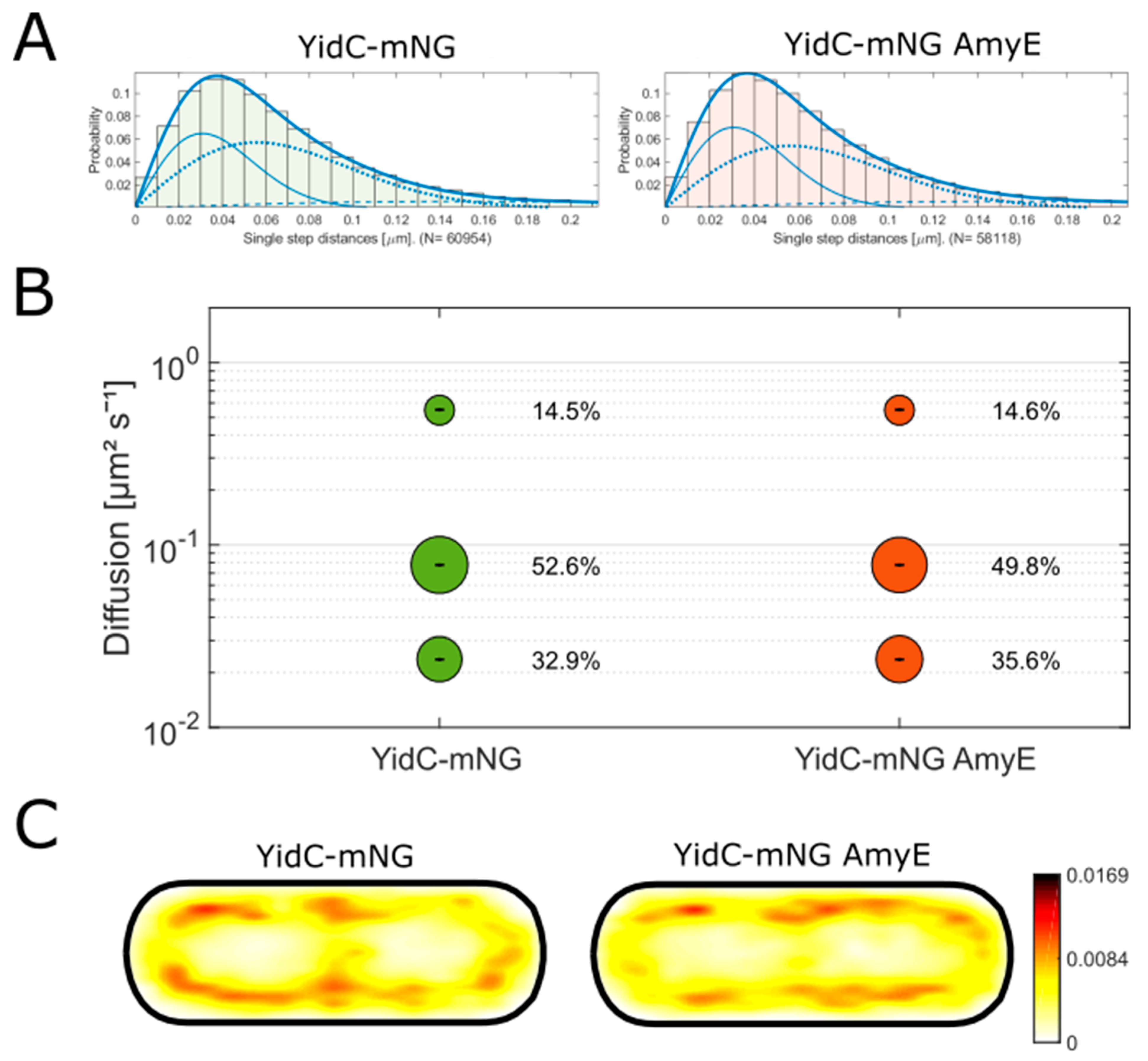 Cells 13 00377 g006 Cells 13 00377 g006