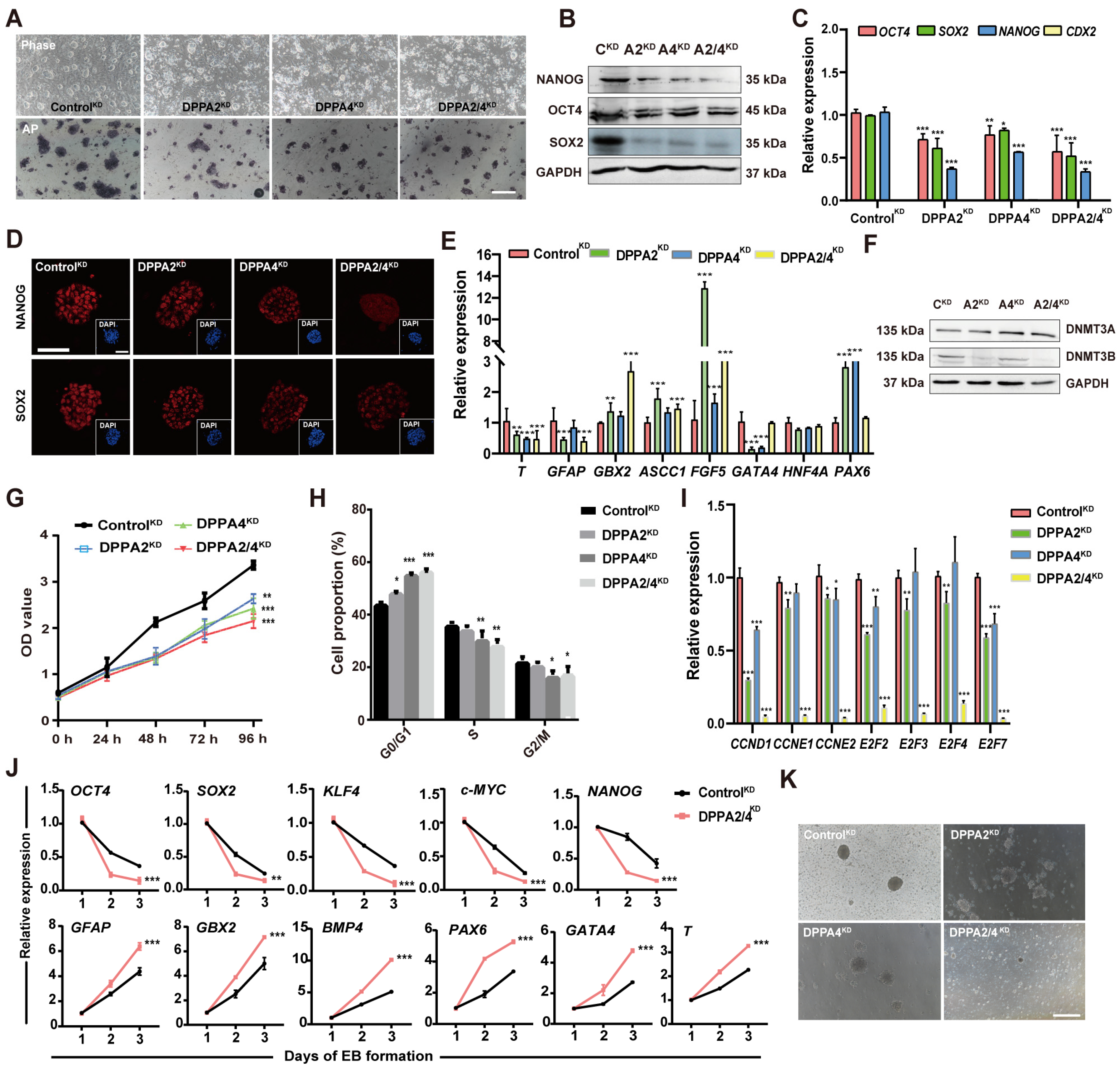 Cells 13 00382 g004 Cells 13 00382 g004