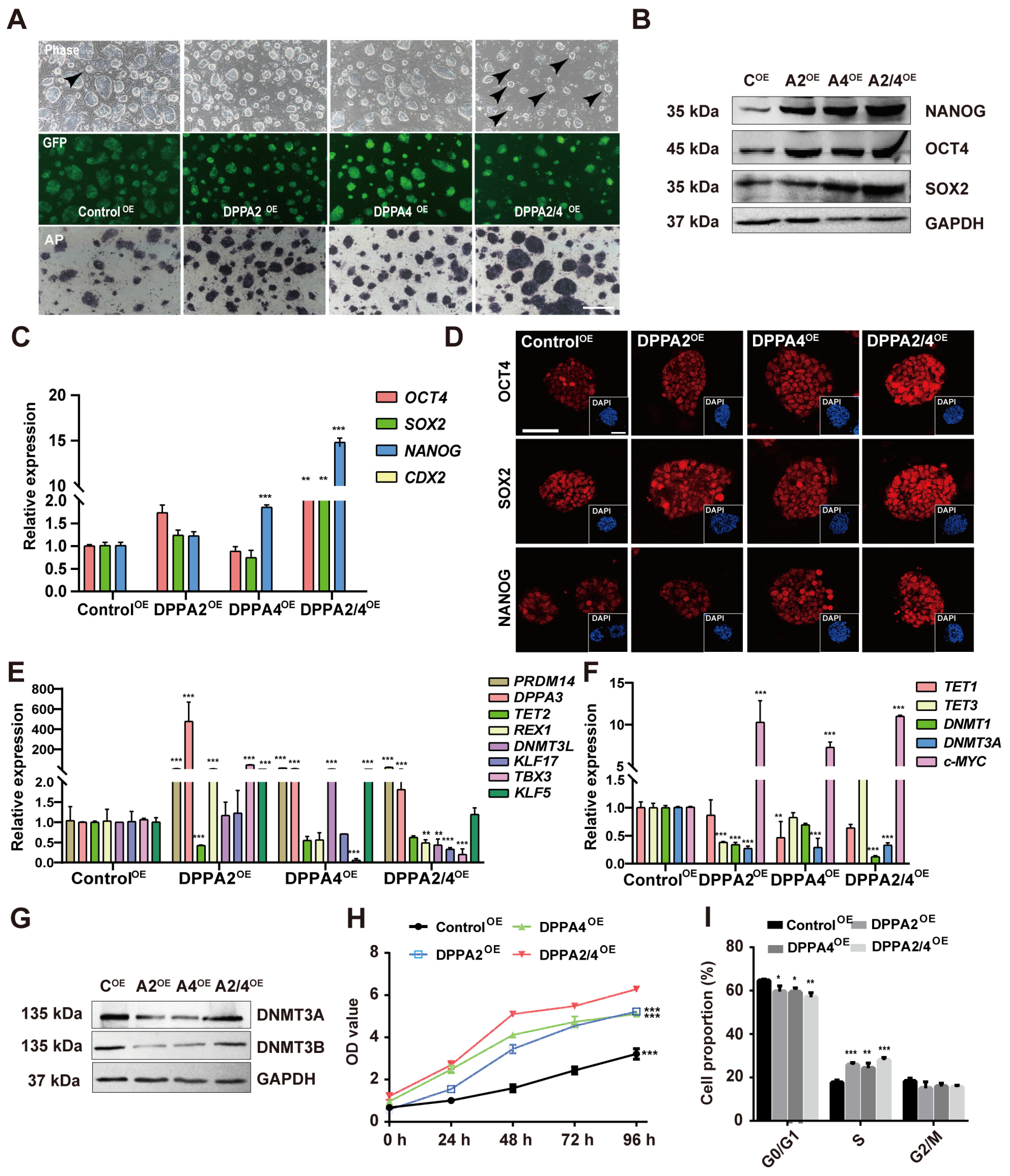Cells 13 00382 g005 Cells 13 00382 g005