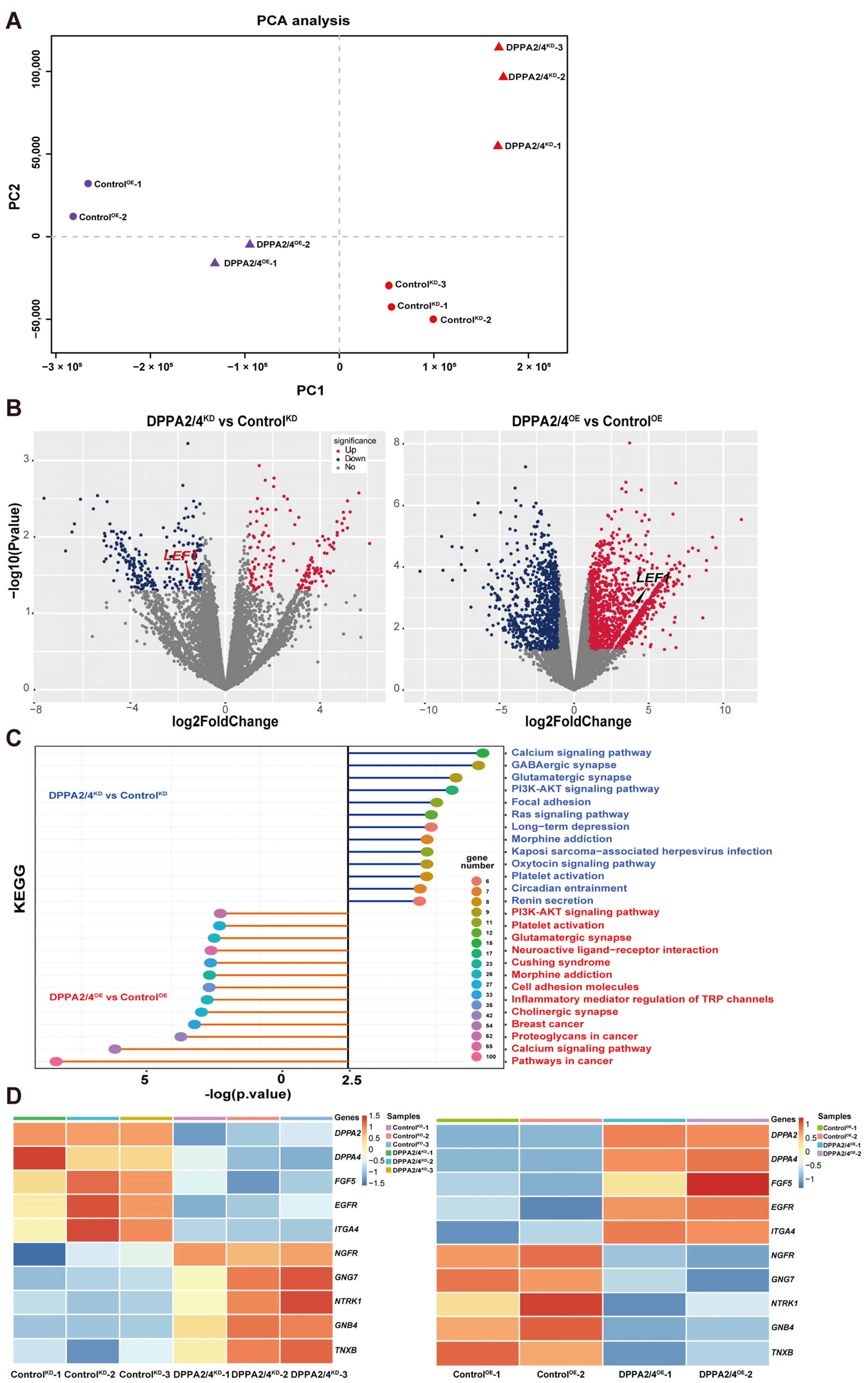 Cells 13 00382 g006 Cells 13 00382 g006