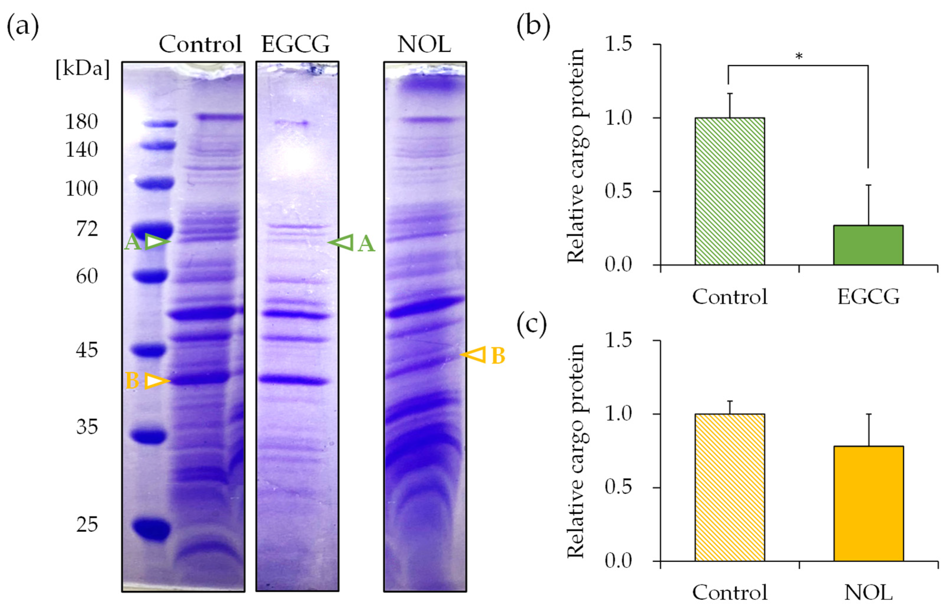 Cells 13 00387 g007 Cells 13 00387 g007