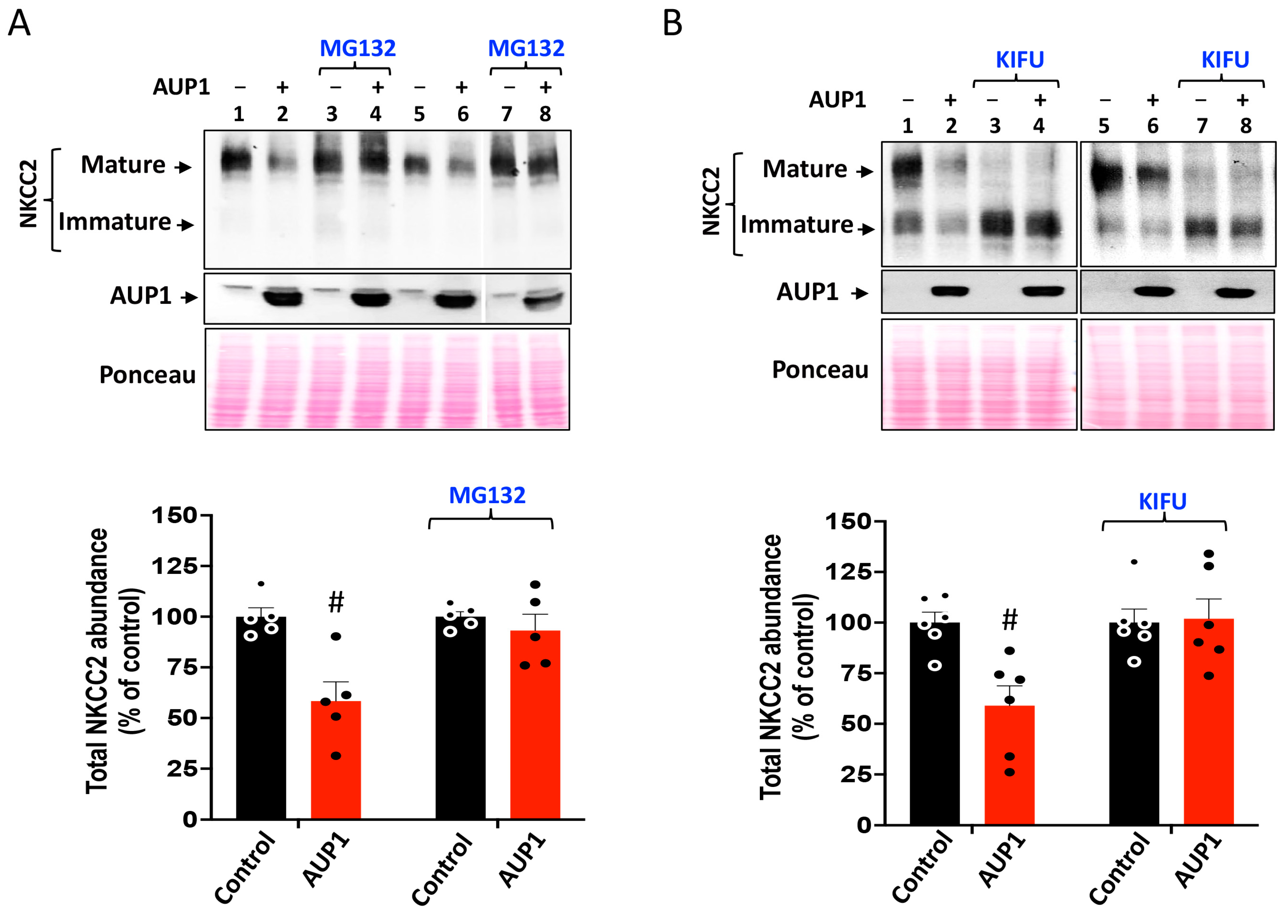 Cells 13 00389 g005 Cells 13 00389 g005