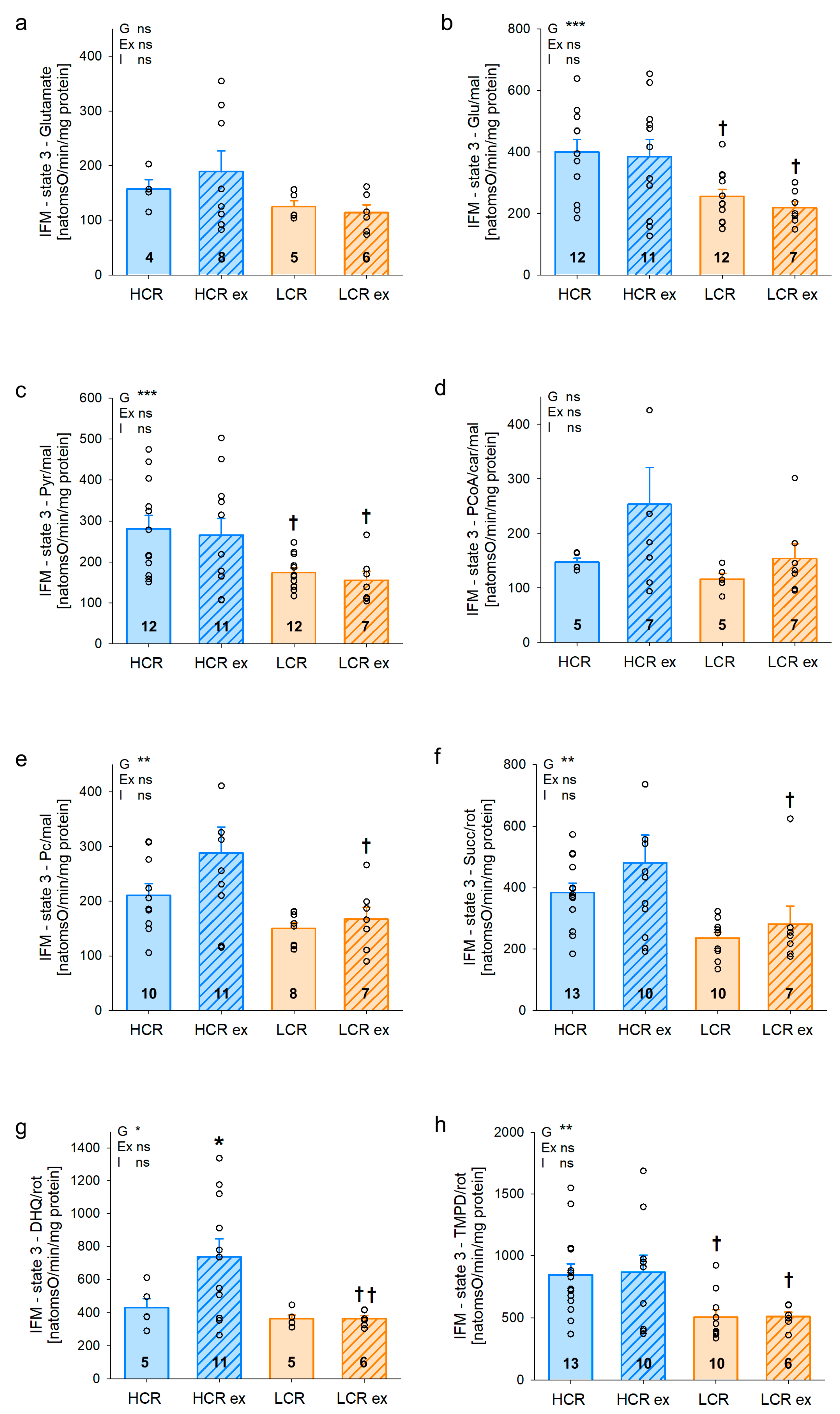Cells 13 00393 g004 Cells 13 00393 g004