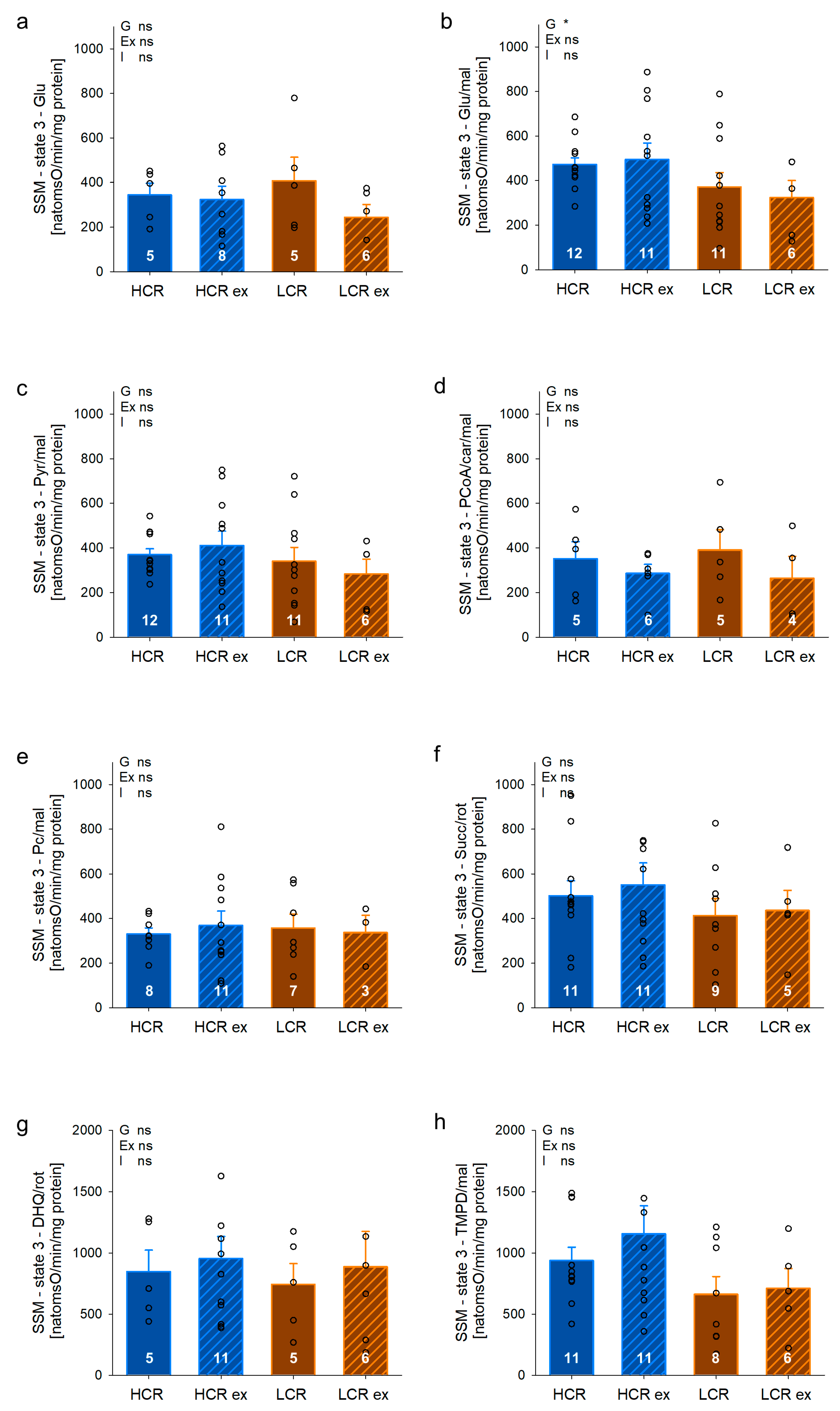 Cells 13 00393 g005 Cells 13 00393 g005