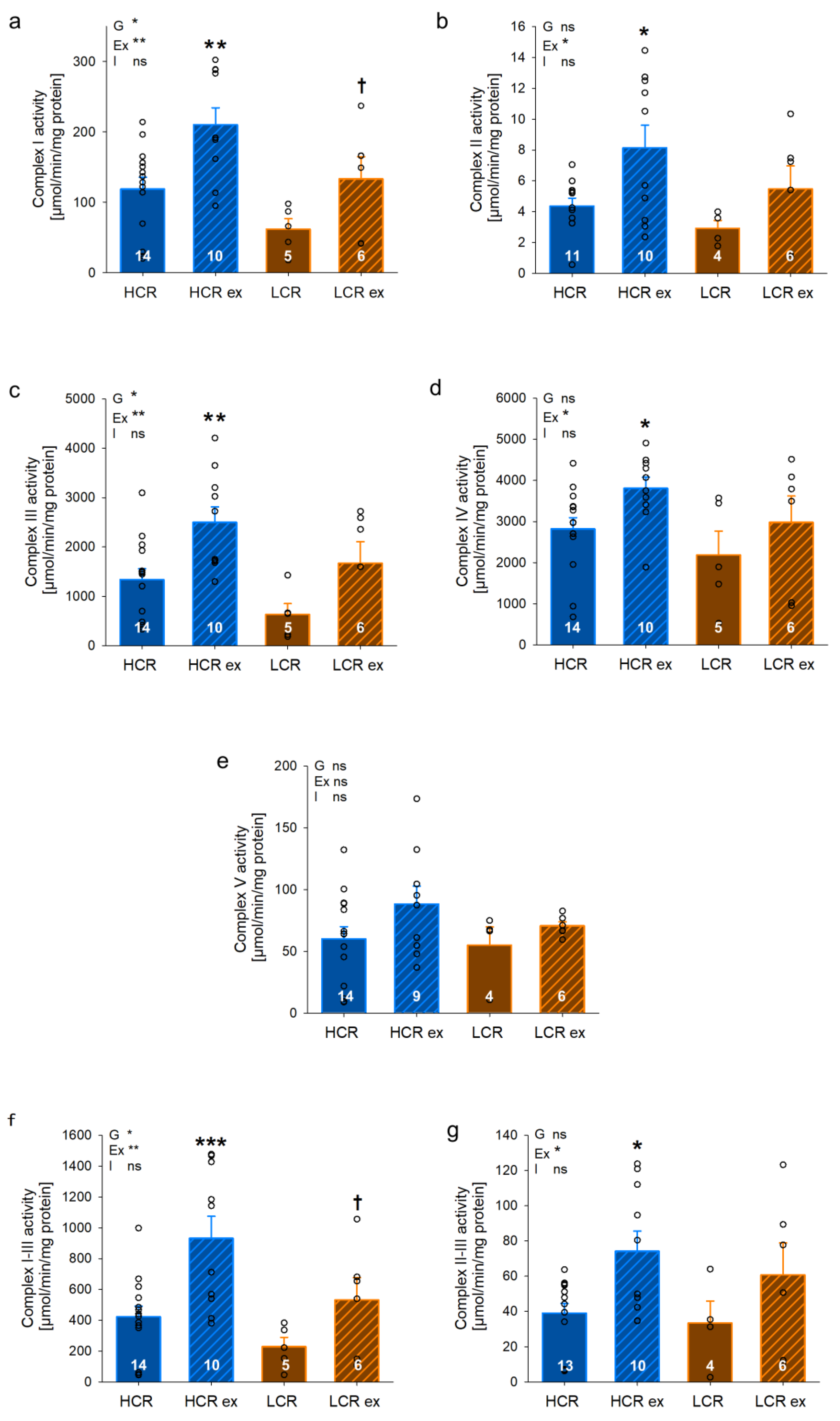 Cells 13 00393 g007 Cells 13 00393 g007