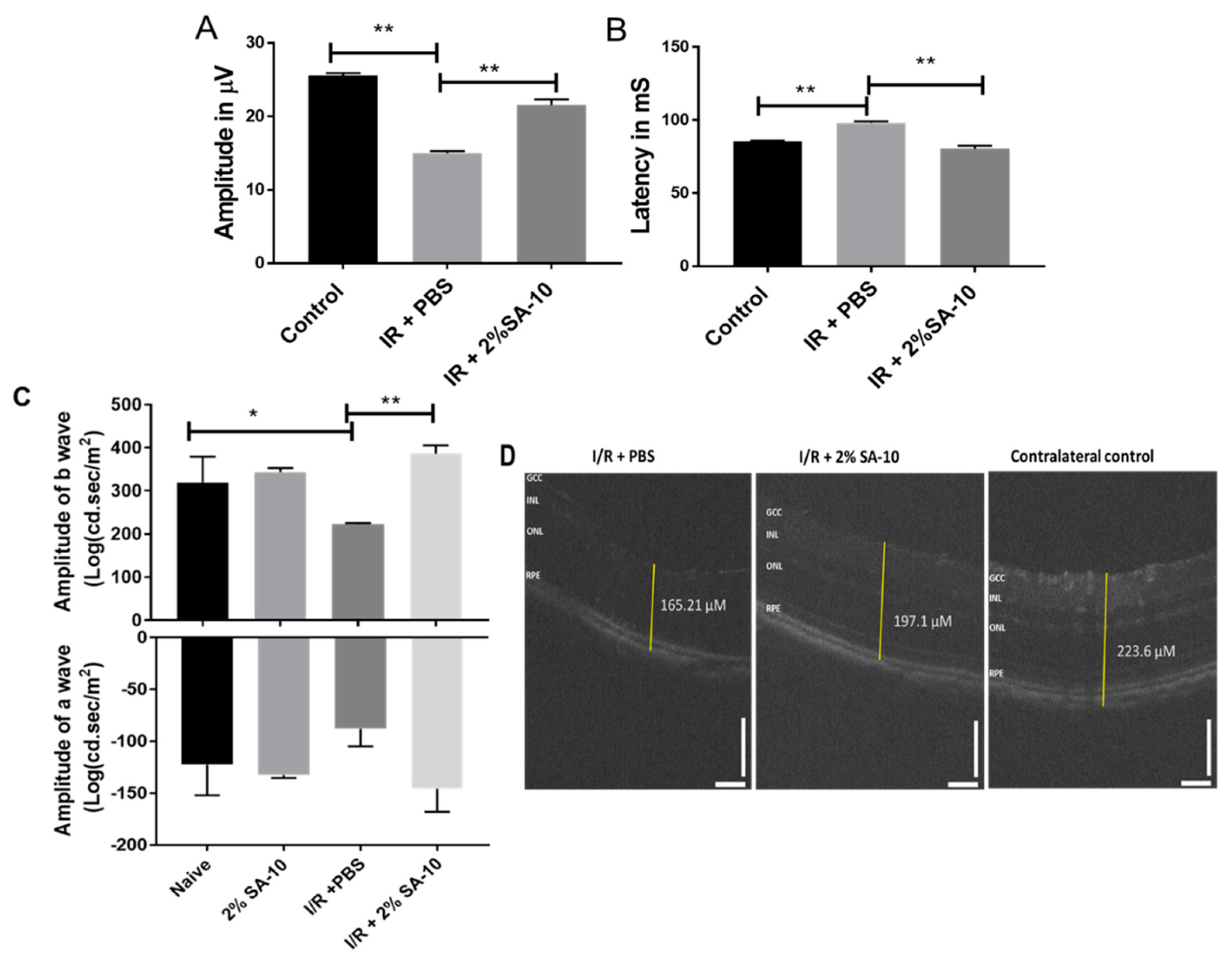 Cells 13 00396 g006 Cells 13 00396 g006