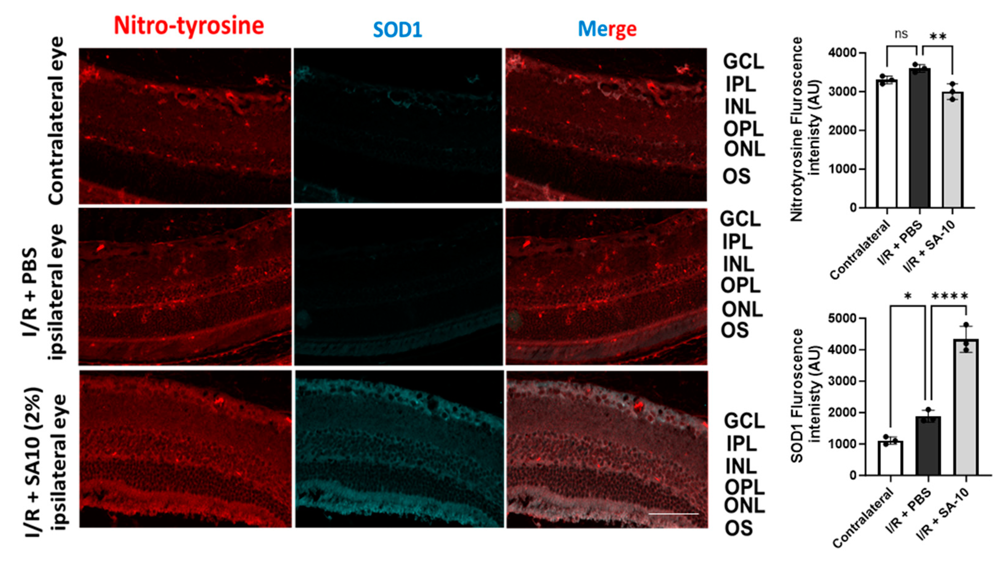 Cells 13 00396 g007 Cells 13 00396 g007