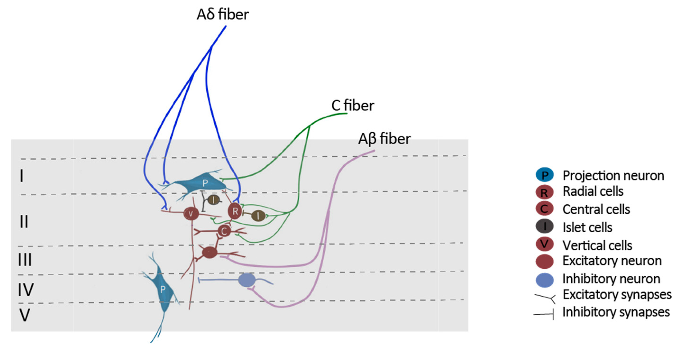 Cells 13 00398 g002 Cells 13 00398 g002